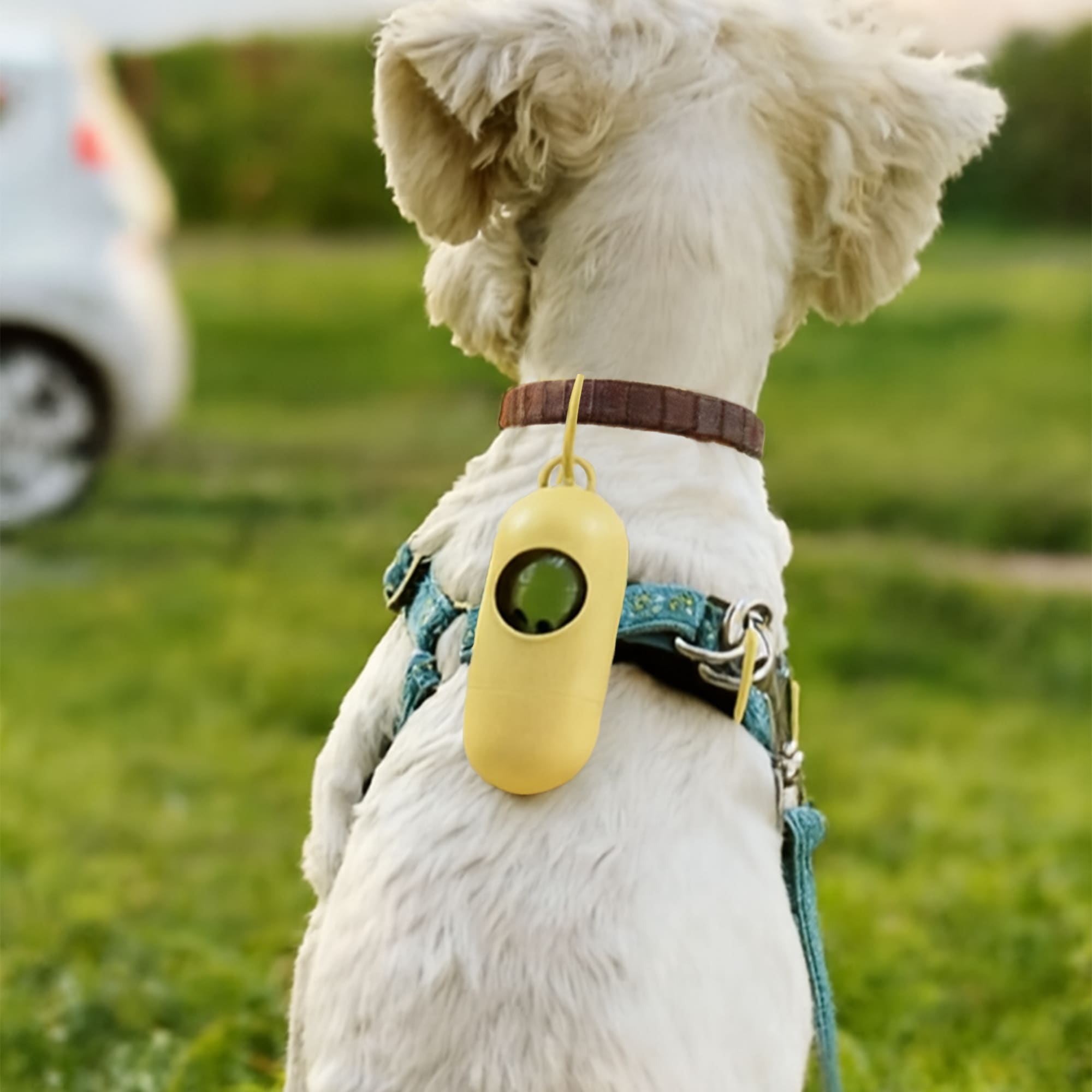 Eco Pill Shape Pet Wastebag Dispenser