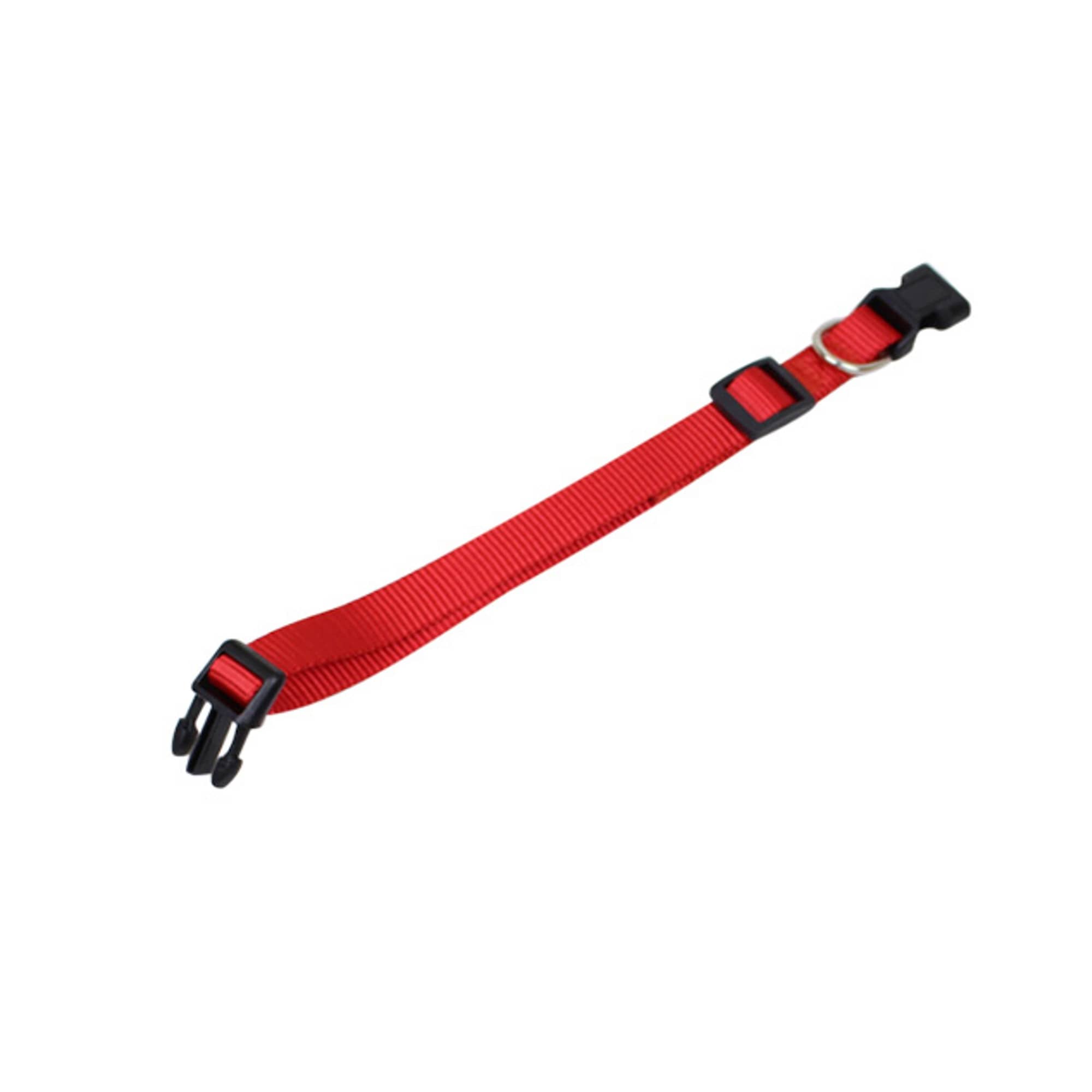 Dog Collar