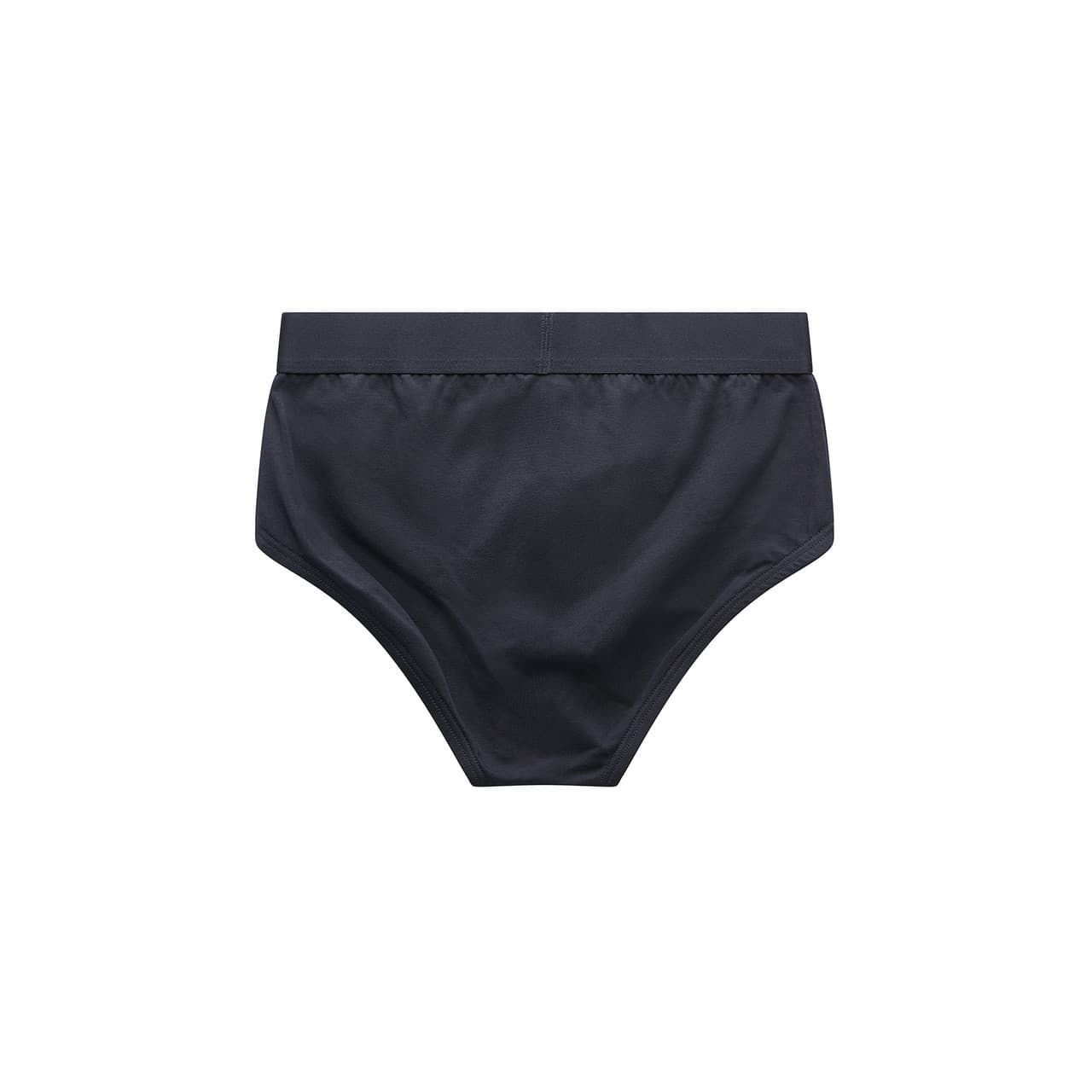 Briefs