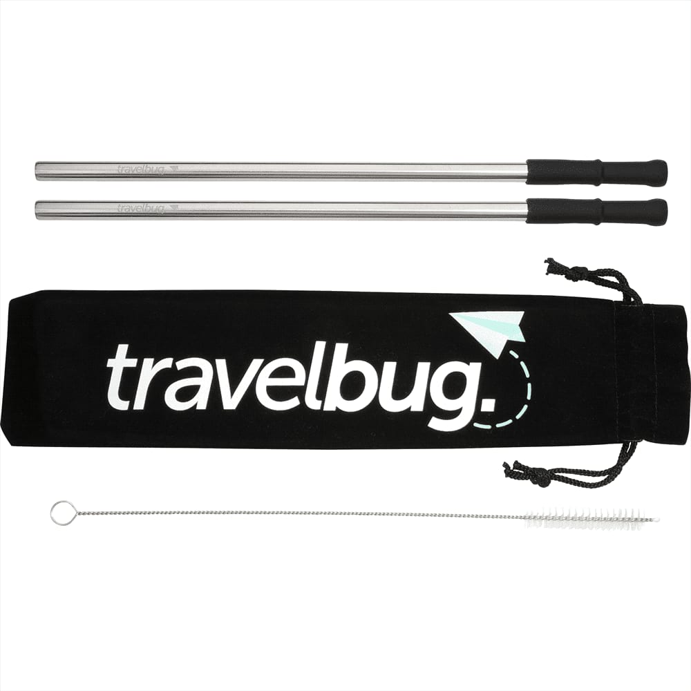 Reusable Stainless Steel Straw Set w/ Brush