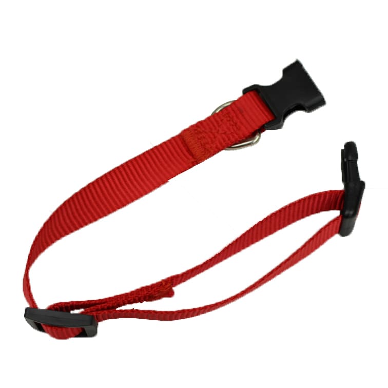 Dog Collar