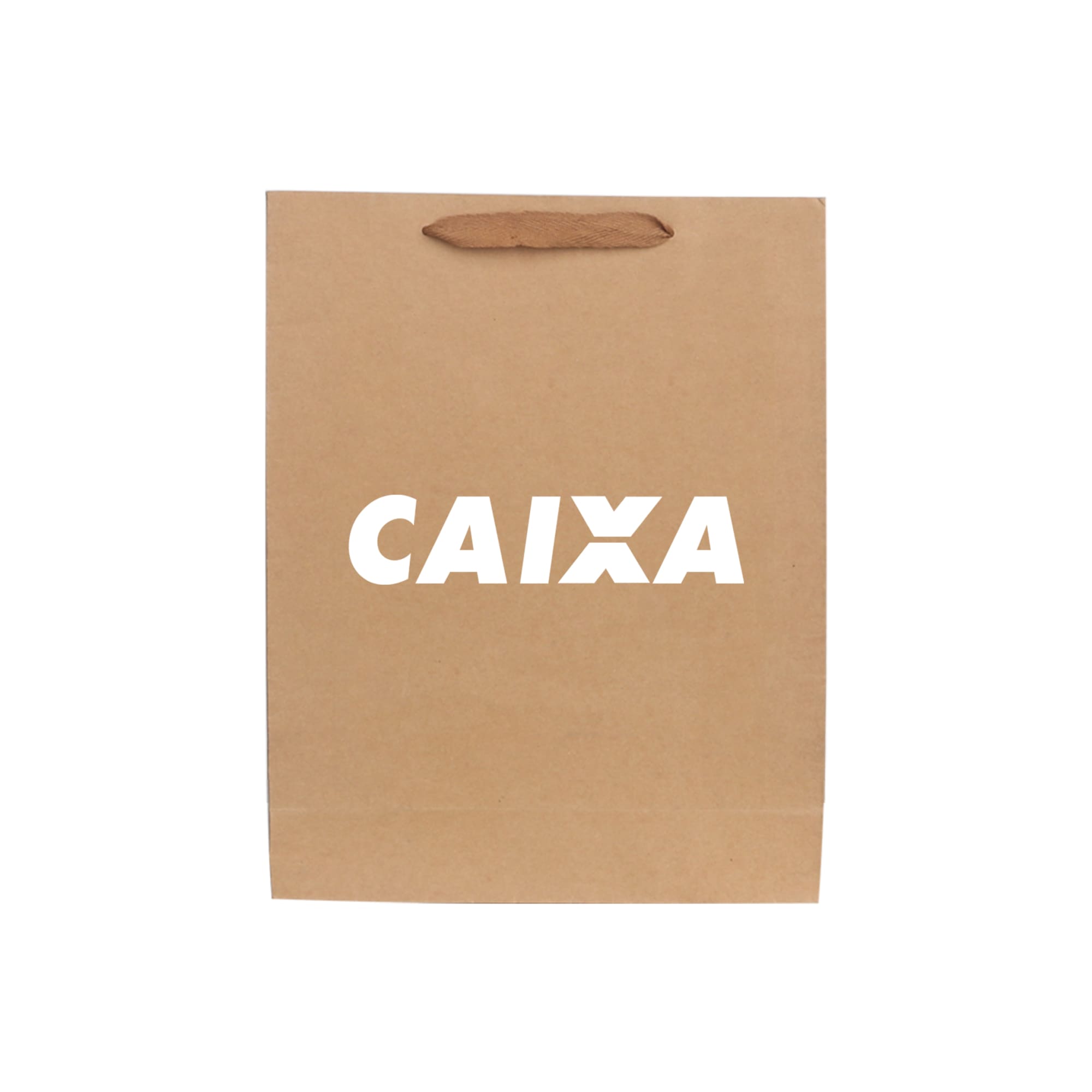 Medium Vertical Paper Bag with Fabric Flat Handle(210 x 270 x 110mm)