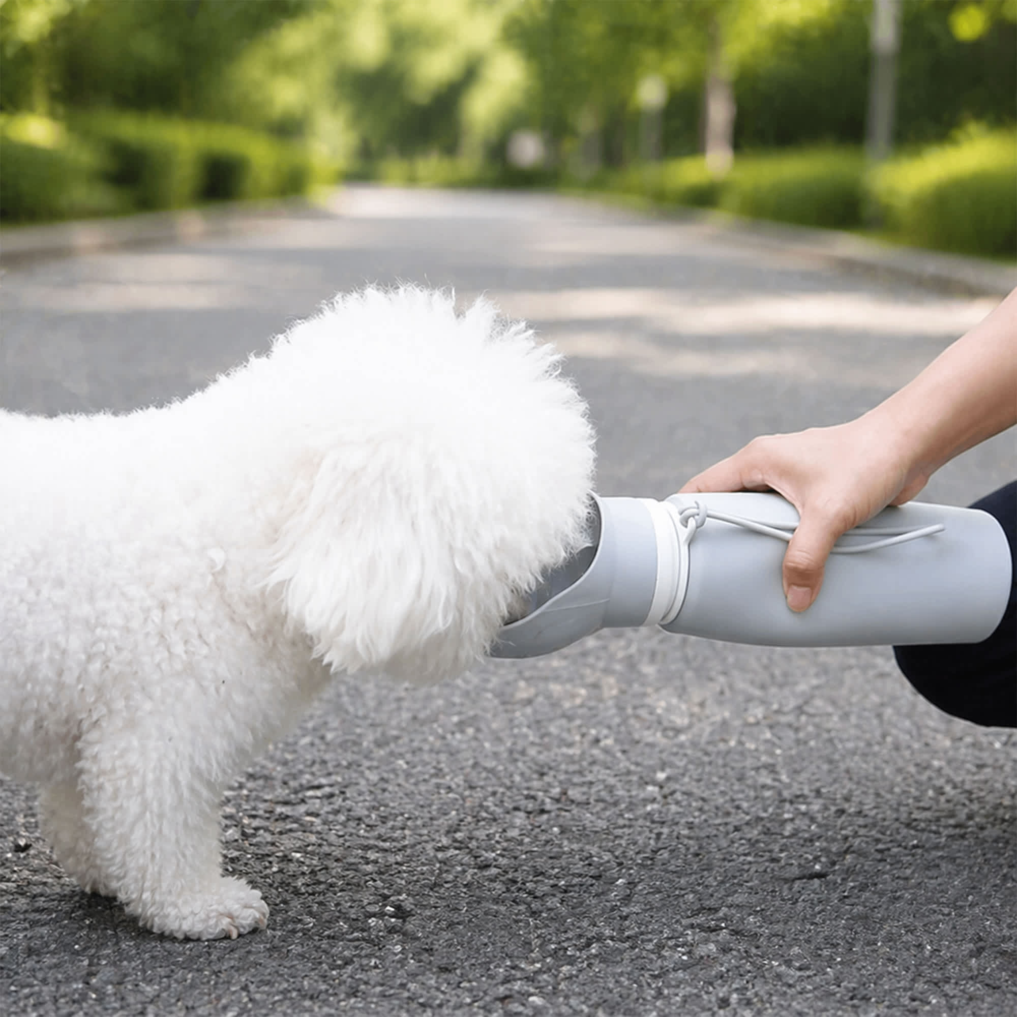 550ml Paw Bowl Collasible Dog Water Bottle