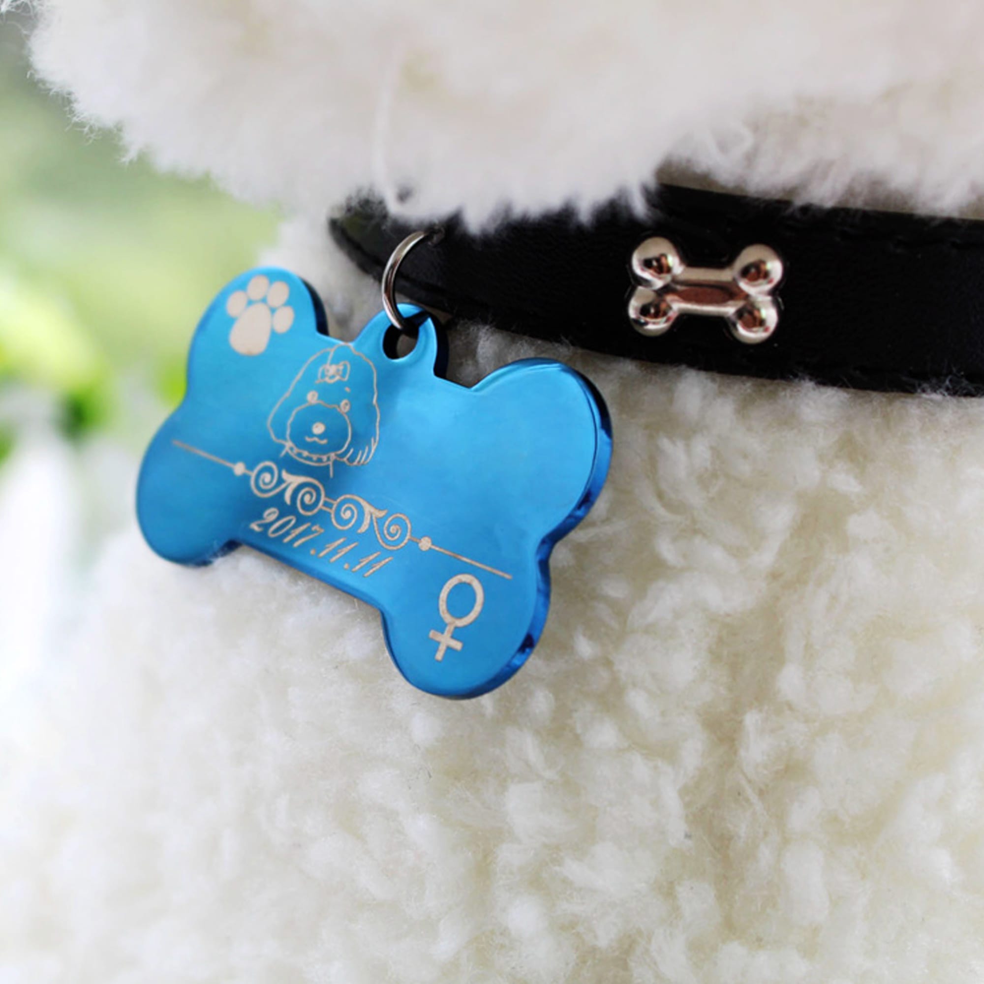 Pet ID Tag