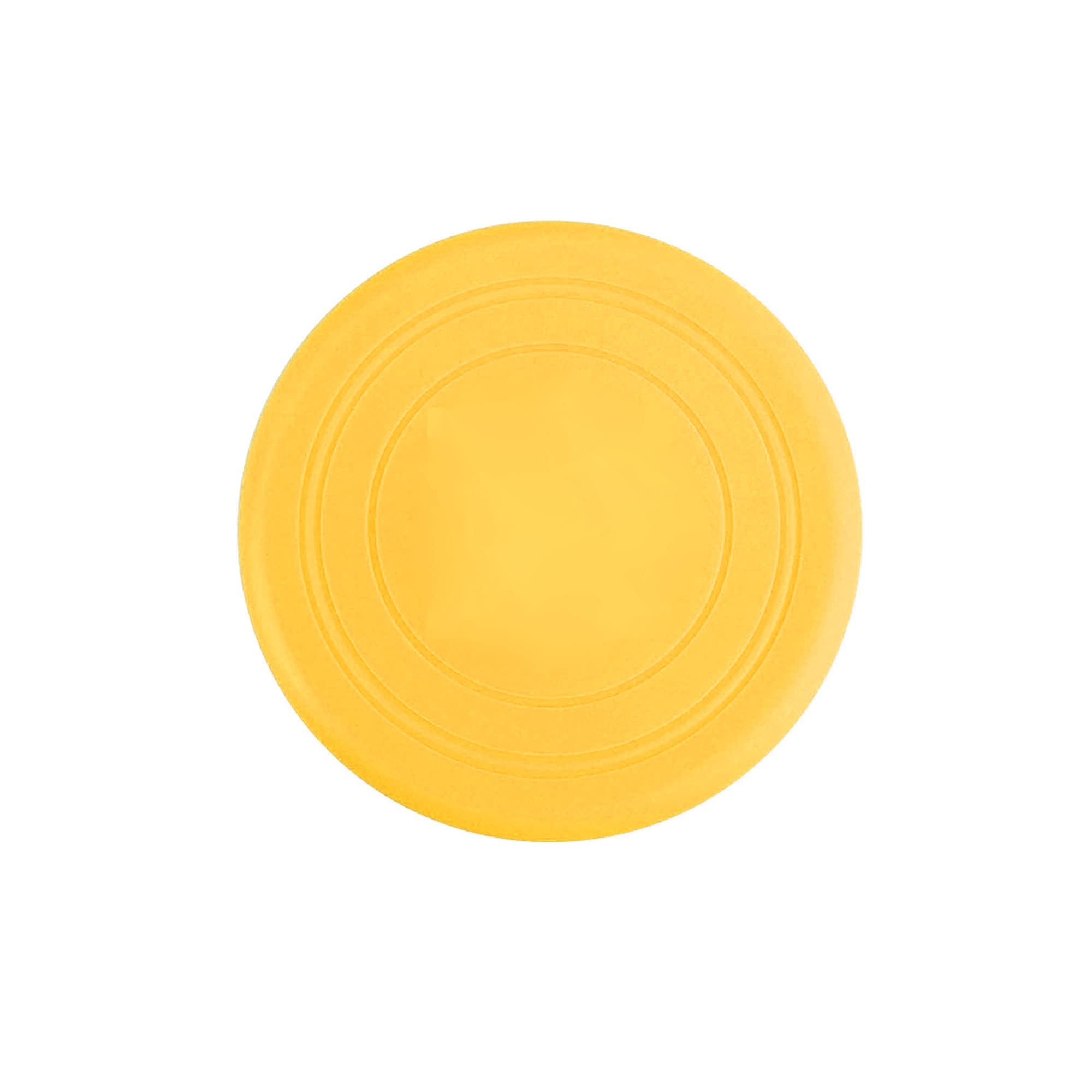 Silicone Frisbee