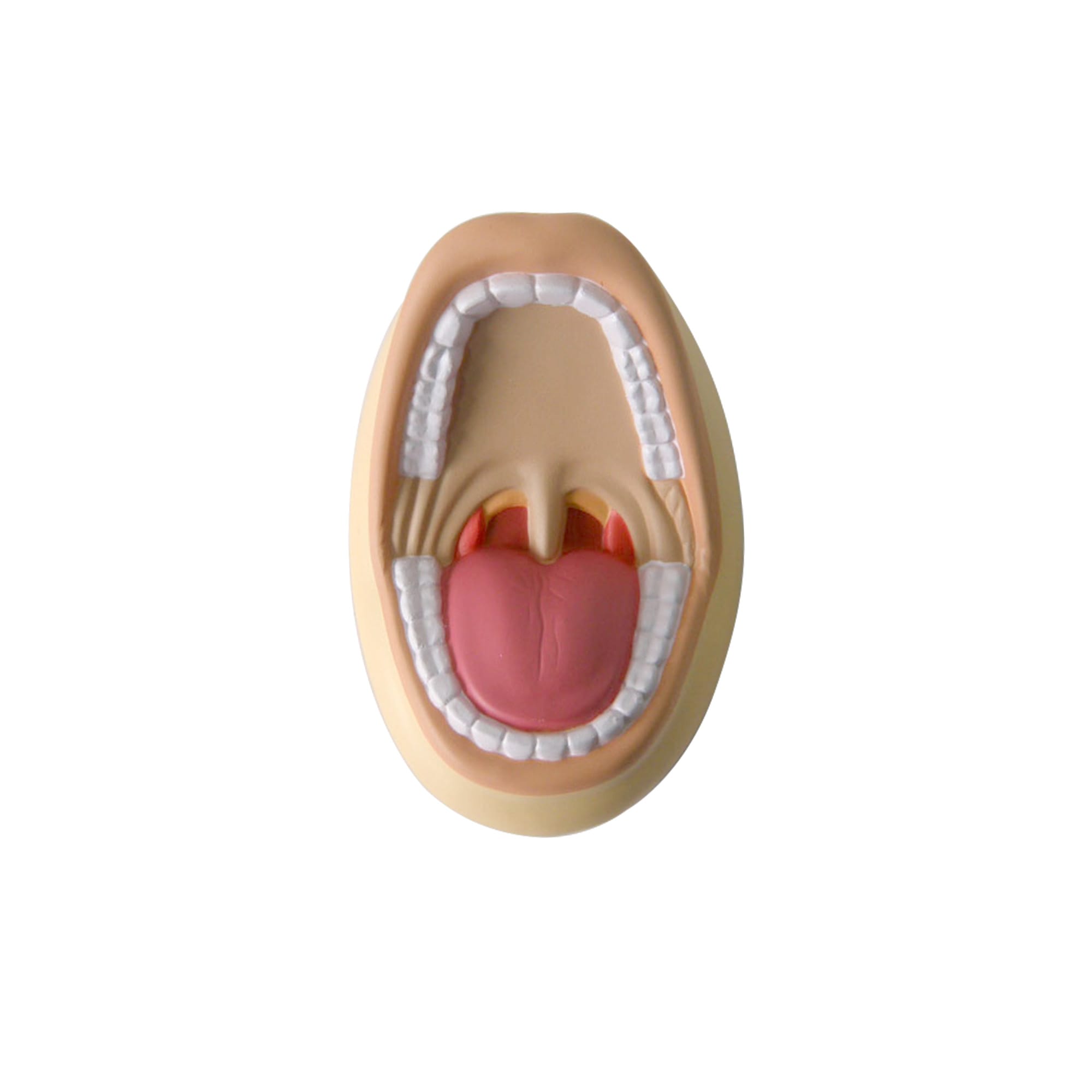 Mouth Shape Stress Reliever