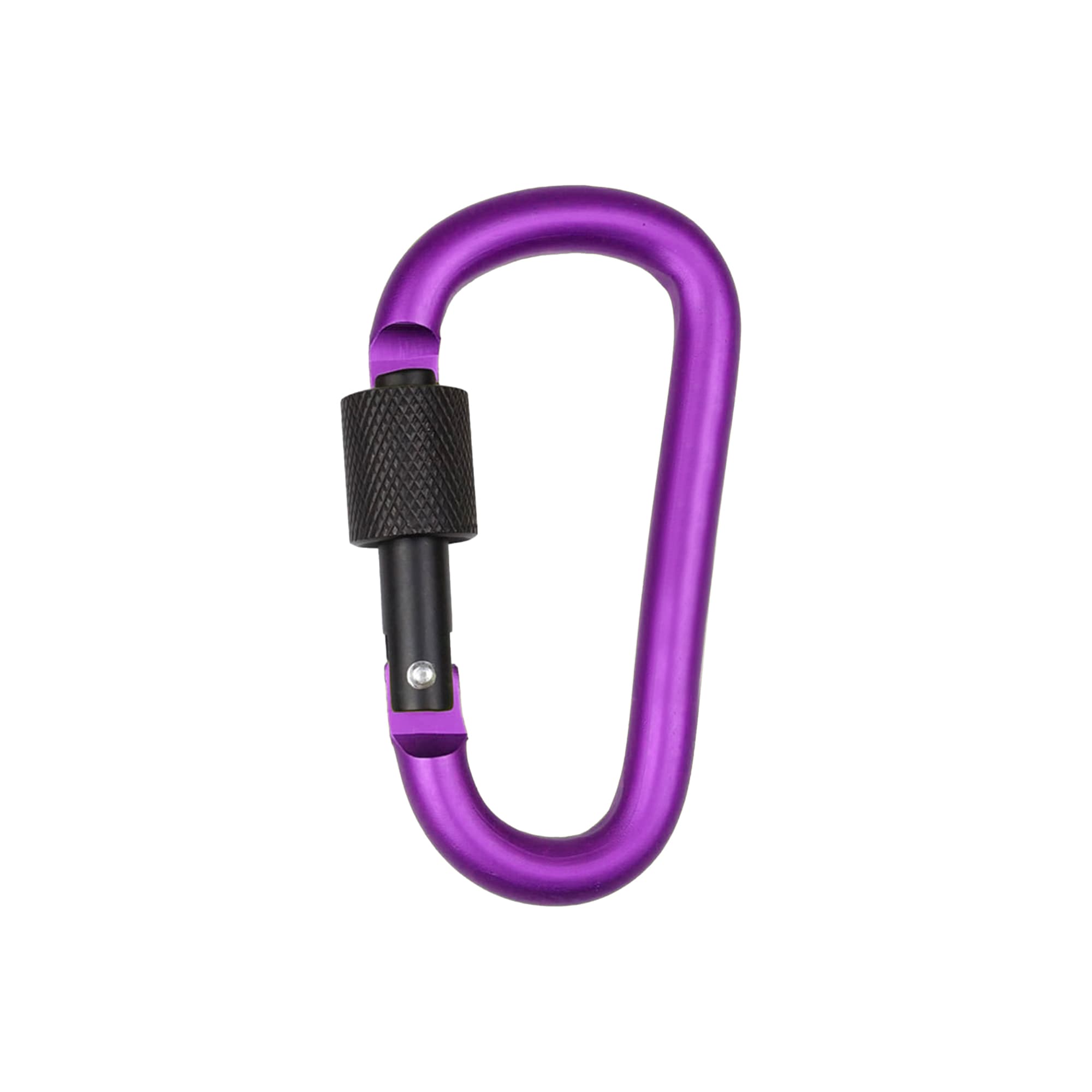 D-Shaped Screw Lock Keychain