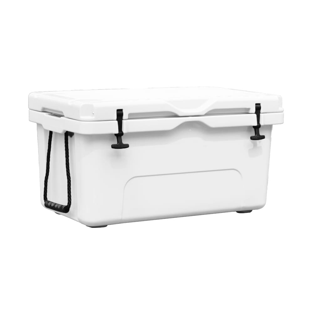 65L Cooler Box