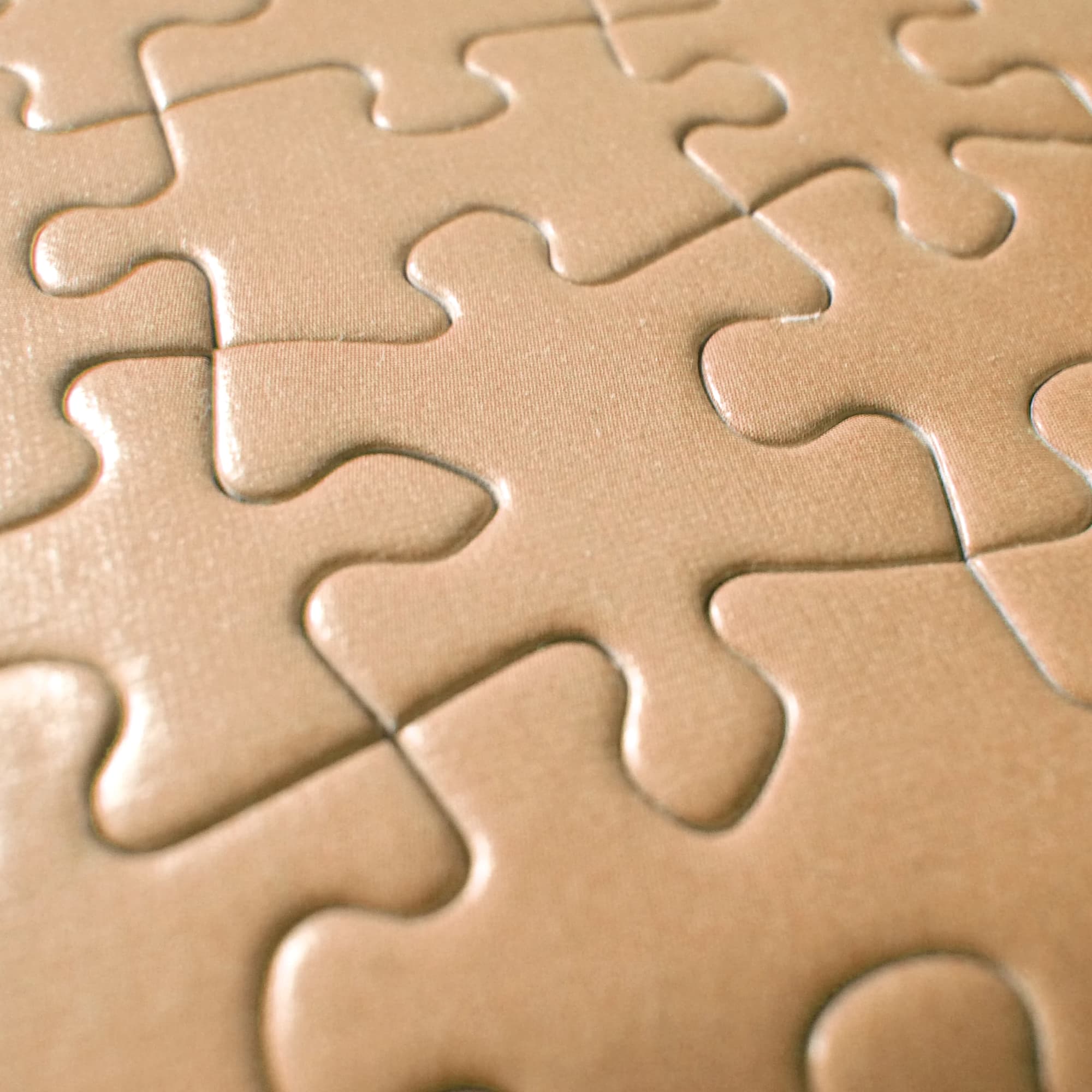 Custom Jigsaw Puzzle