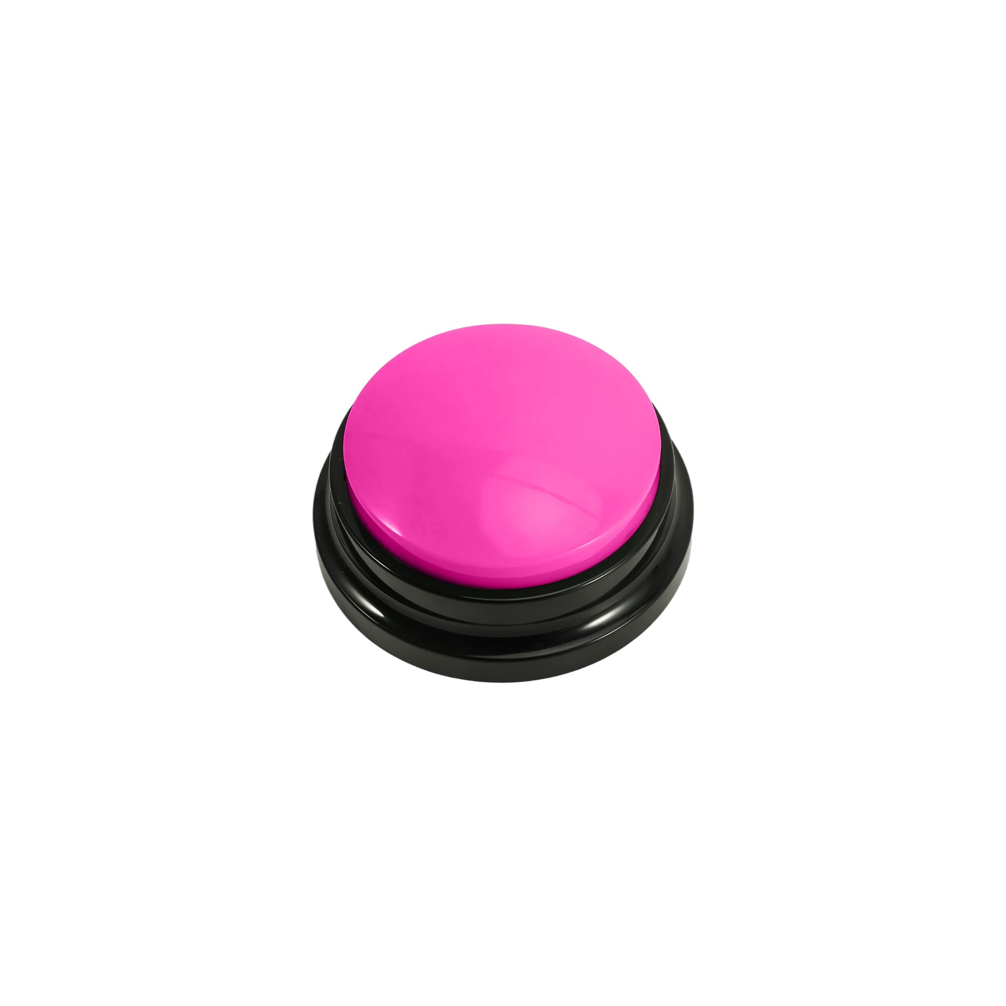 Voice Recording Button