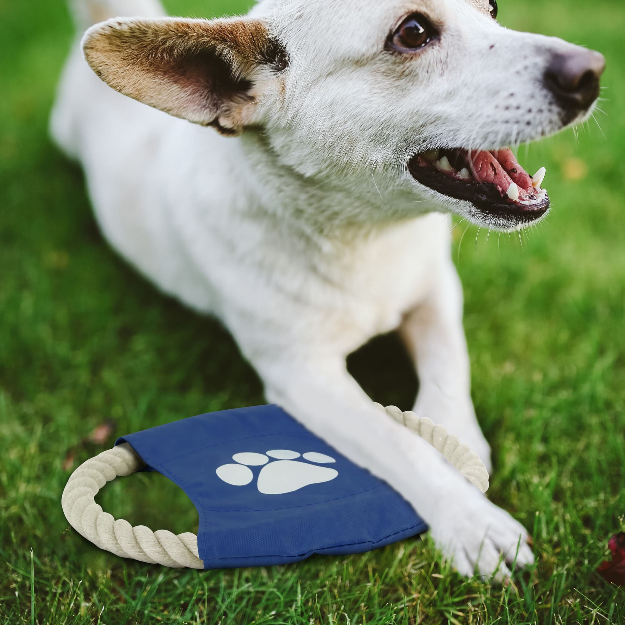 Rope Frisbee Dog Toy