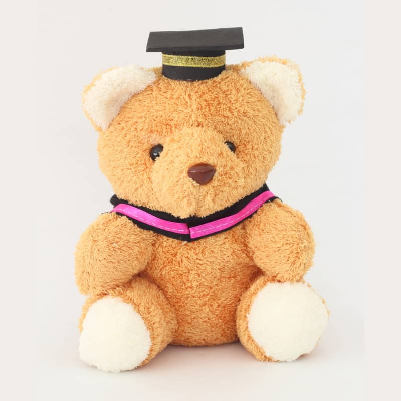 Custom Graduation Plush Toy