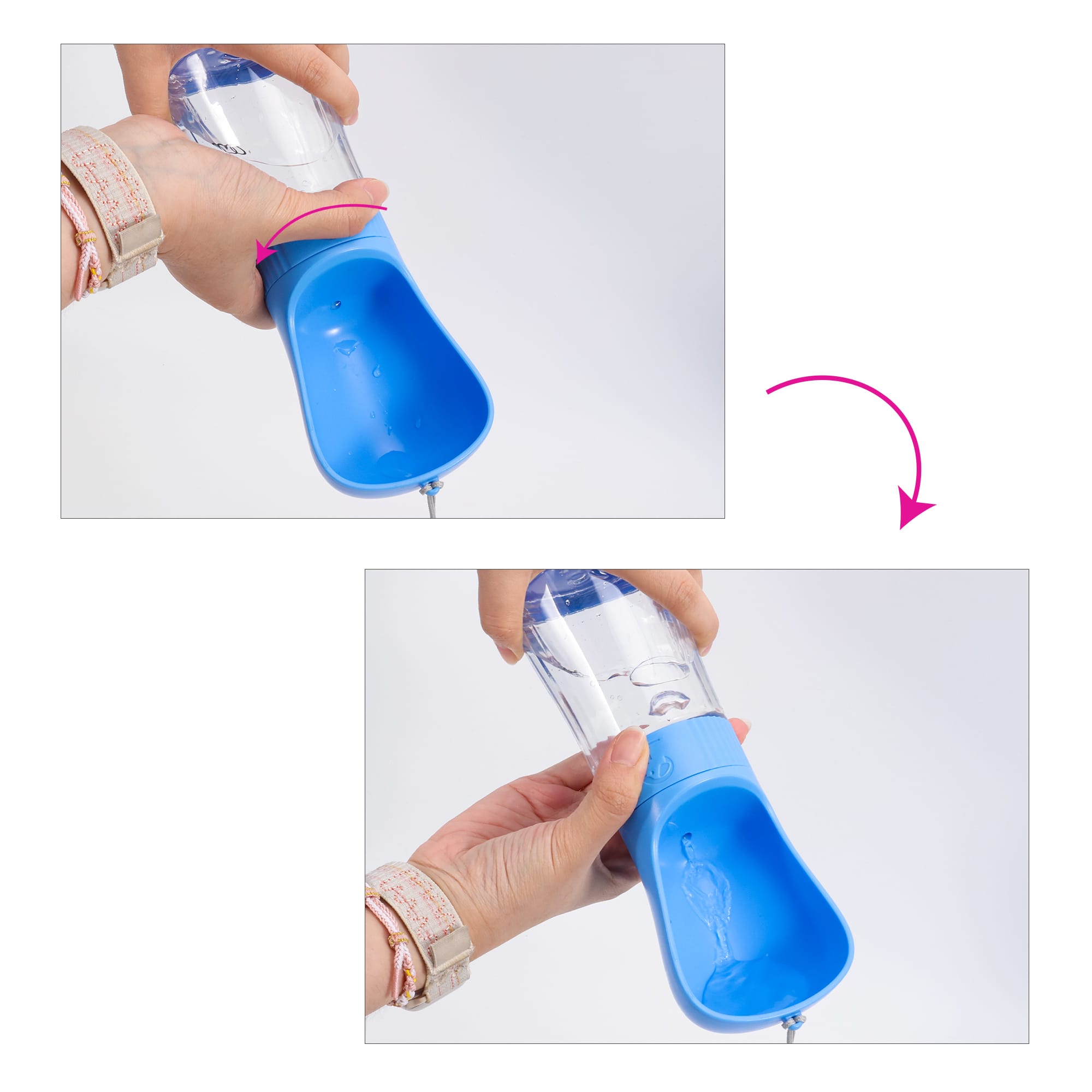 Pet Water Bottle with Food Container