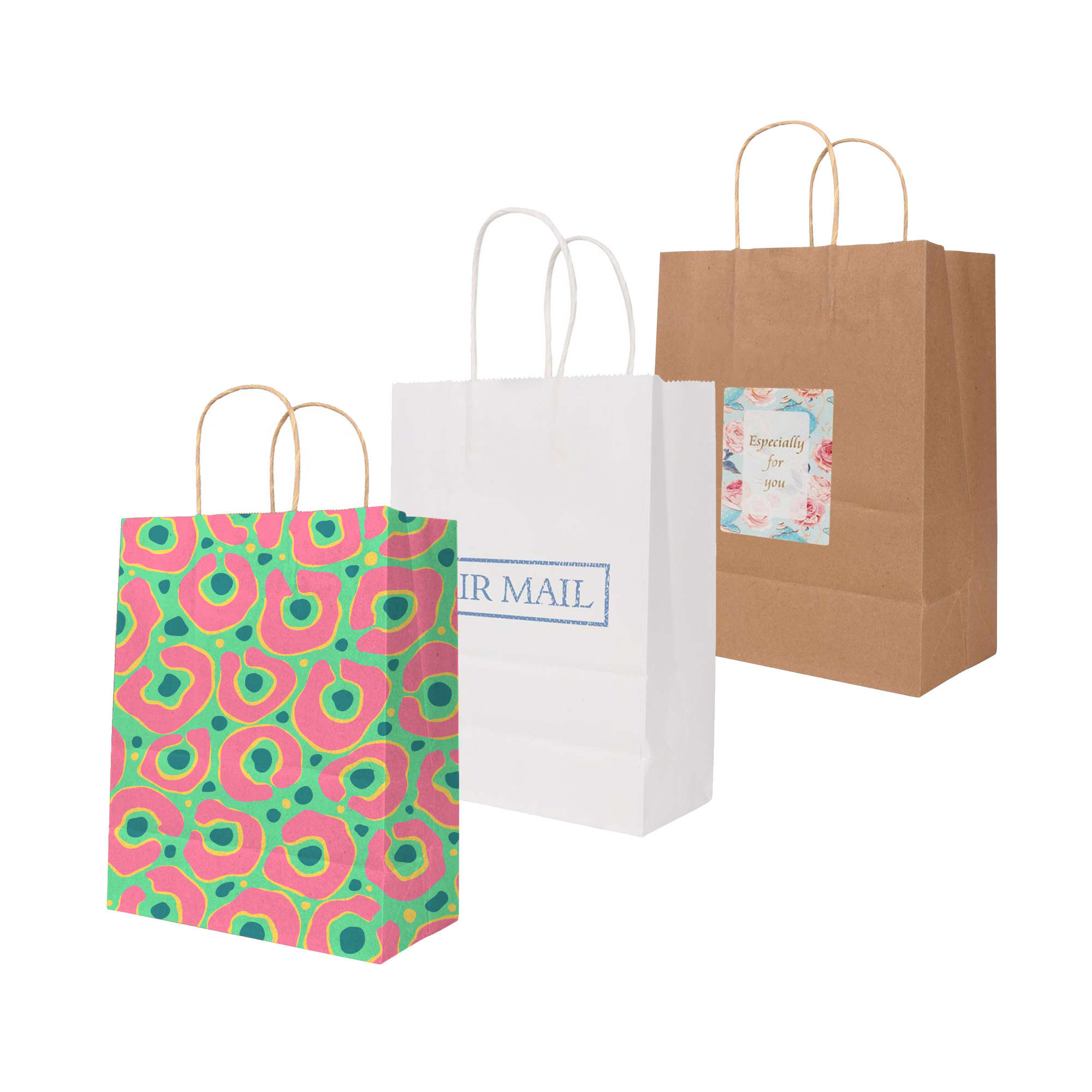 Twisted Handle Kraft Paper Bag(220x270x110mm)