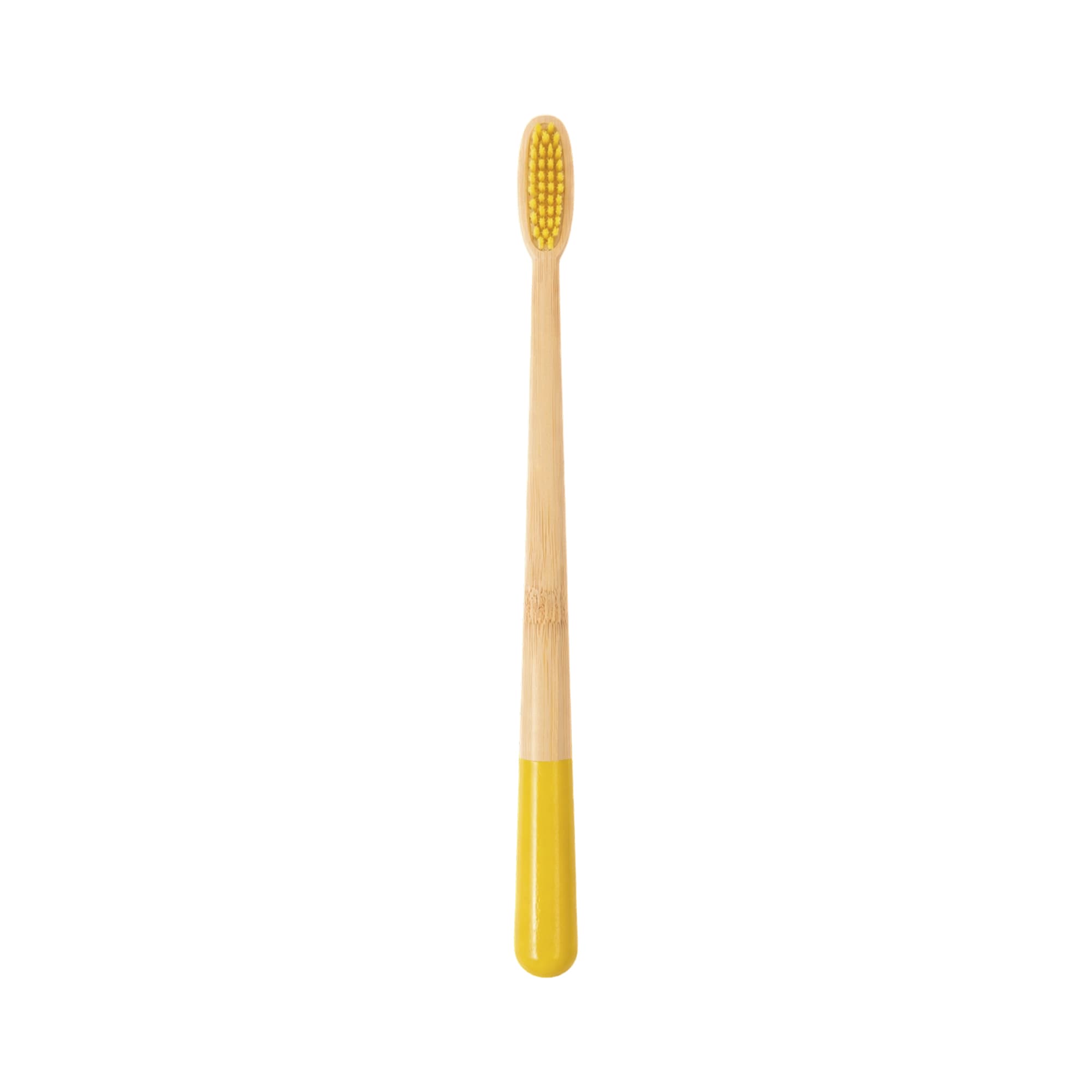 Large Conical Handle Colorful Toothbrush