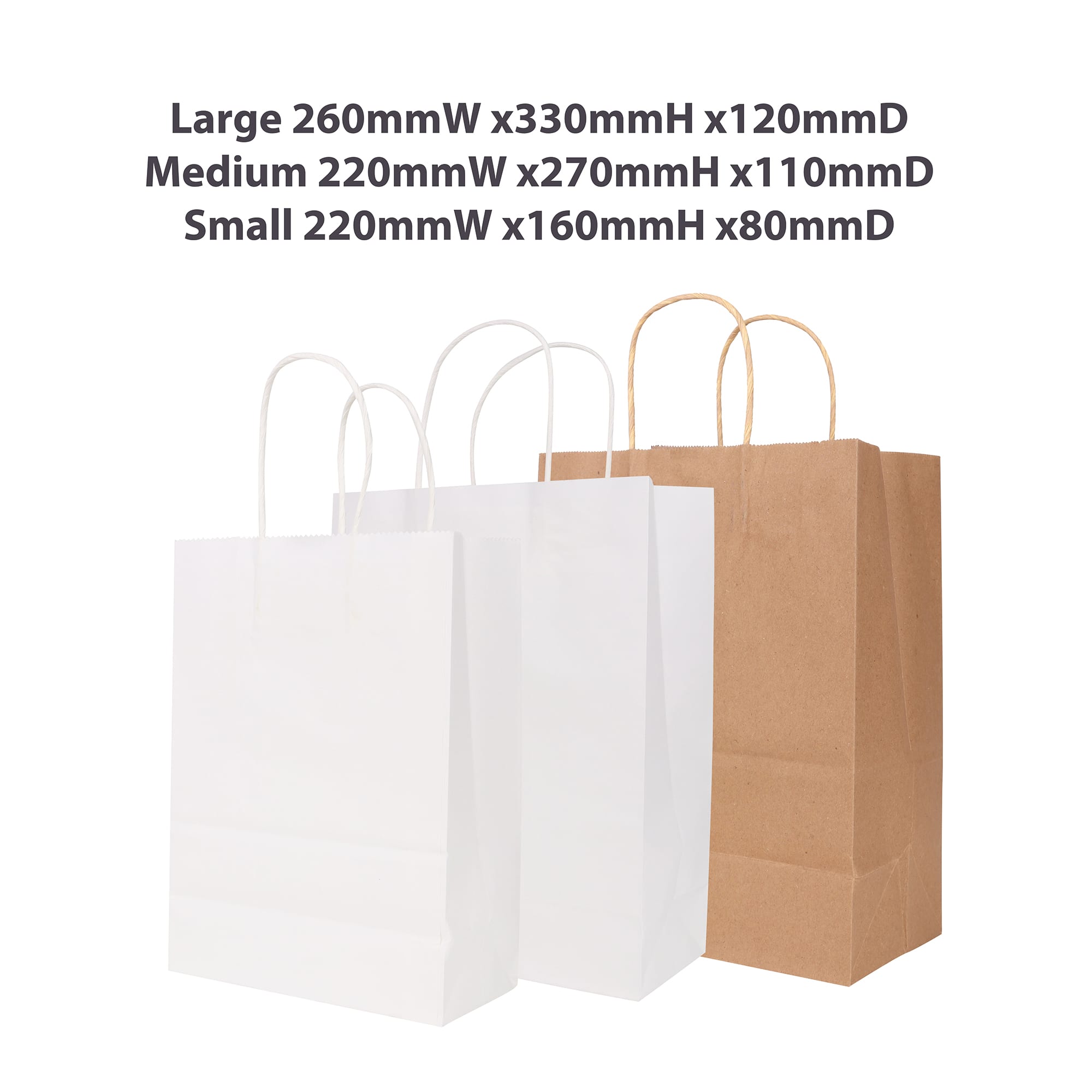 Twisted Handle Kraft Paper Bag(220x270x110mm)