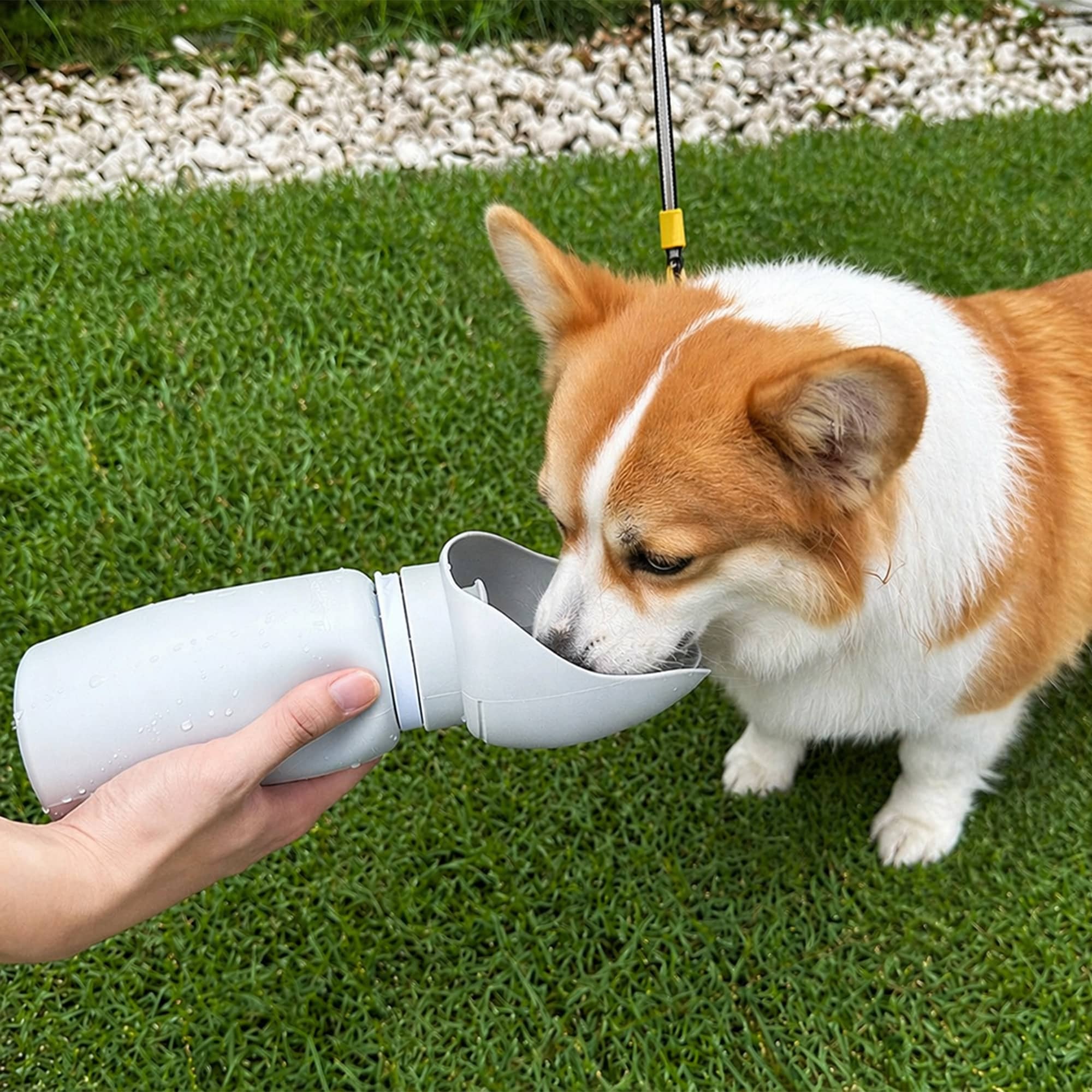 550ml Leaf Bowl Collasible Dog Water Bottle