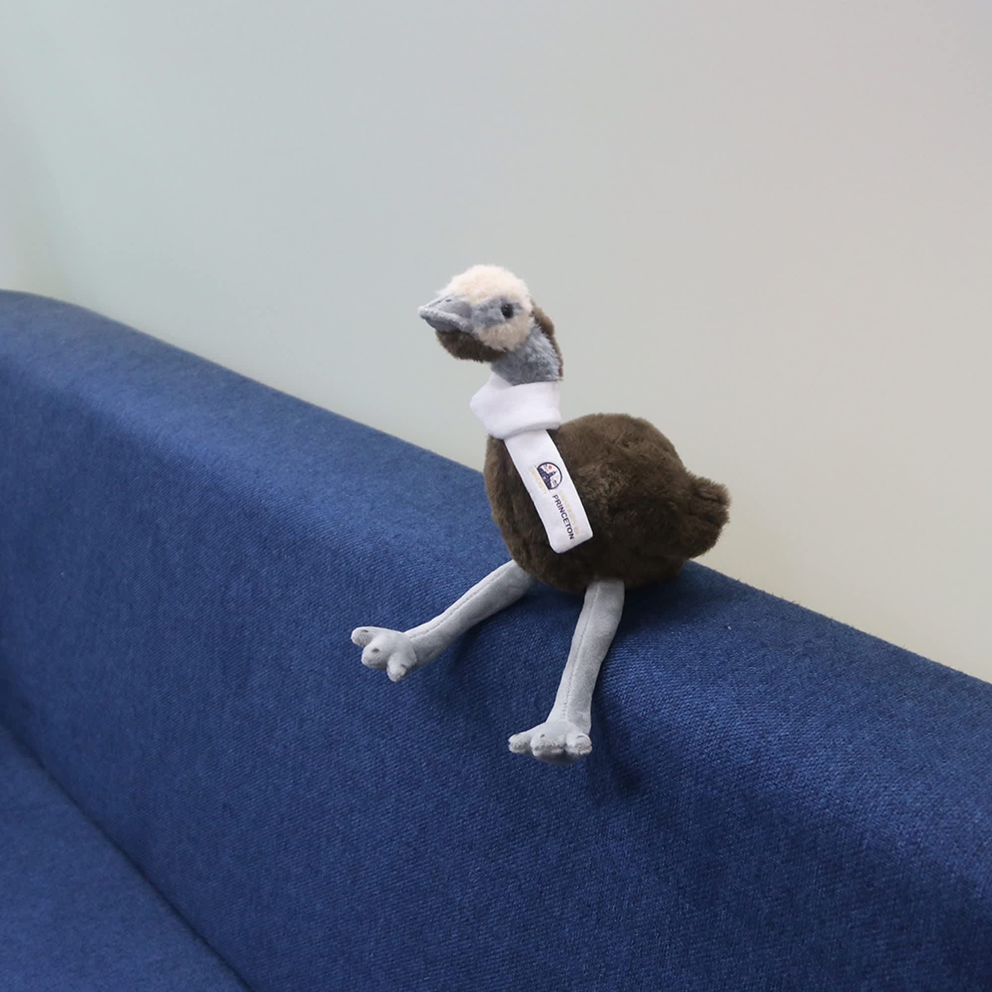 Custom Emu Plush Toy