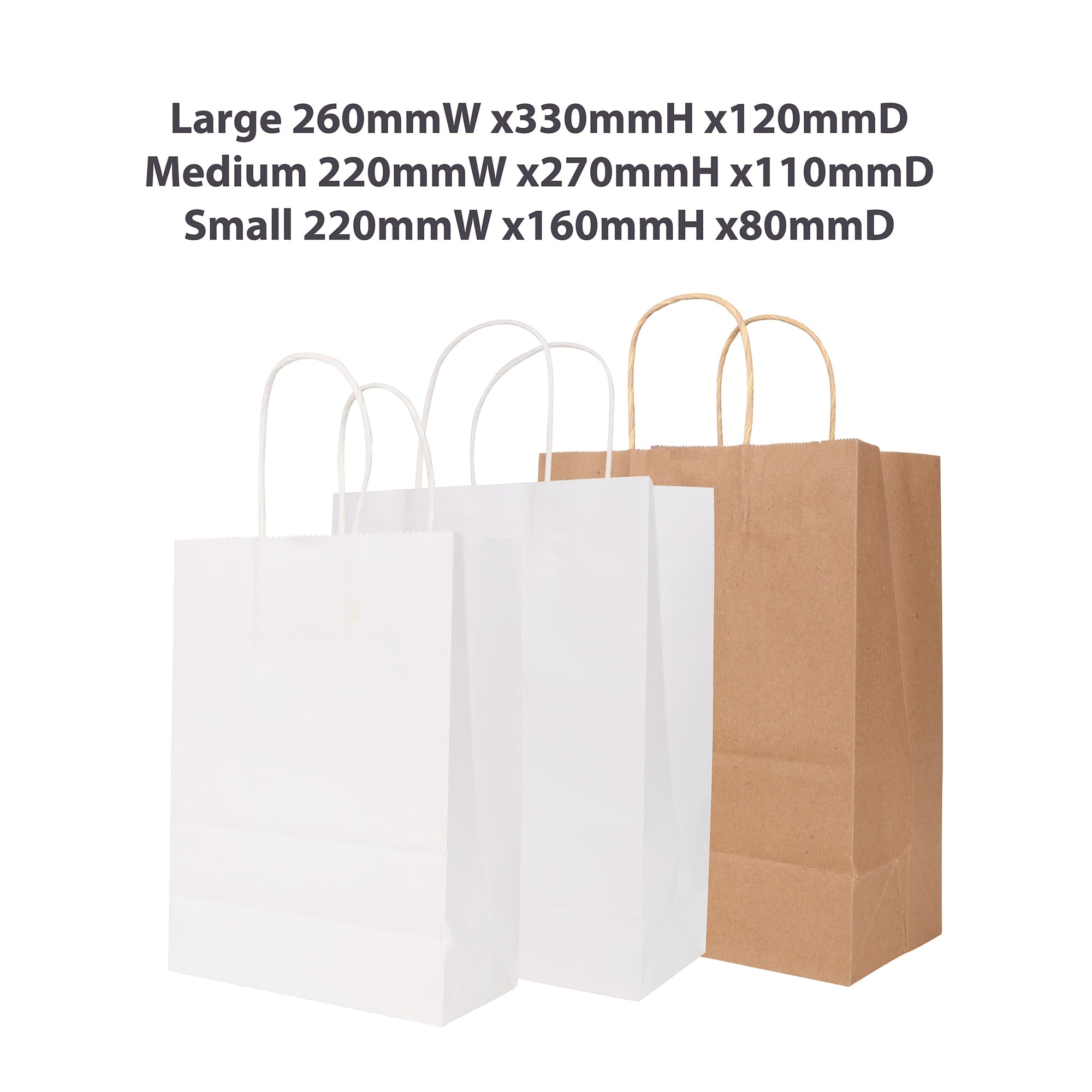Twisted Handle Kraft Paper Bag (220x160x80mm)