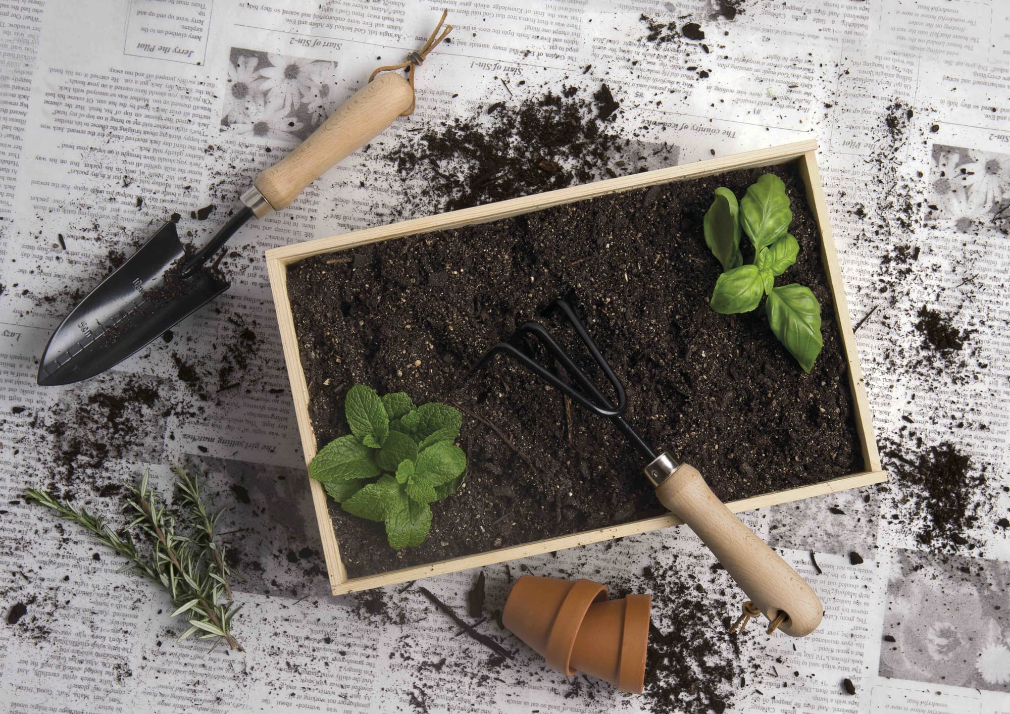 Dig It Garden Box