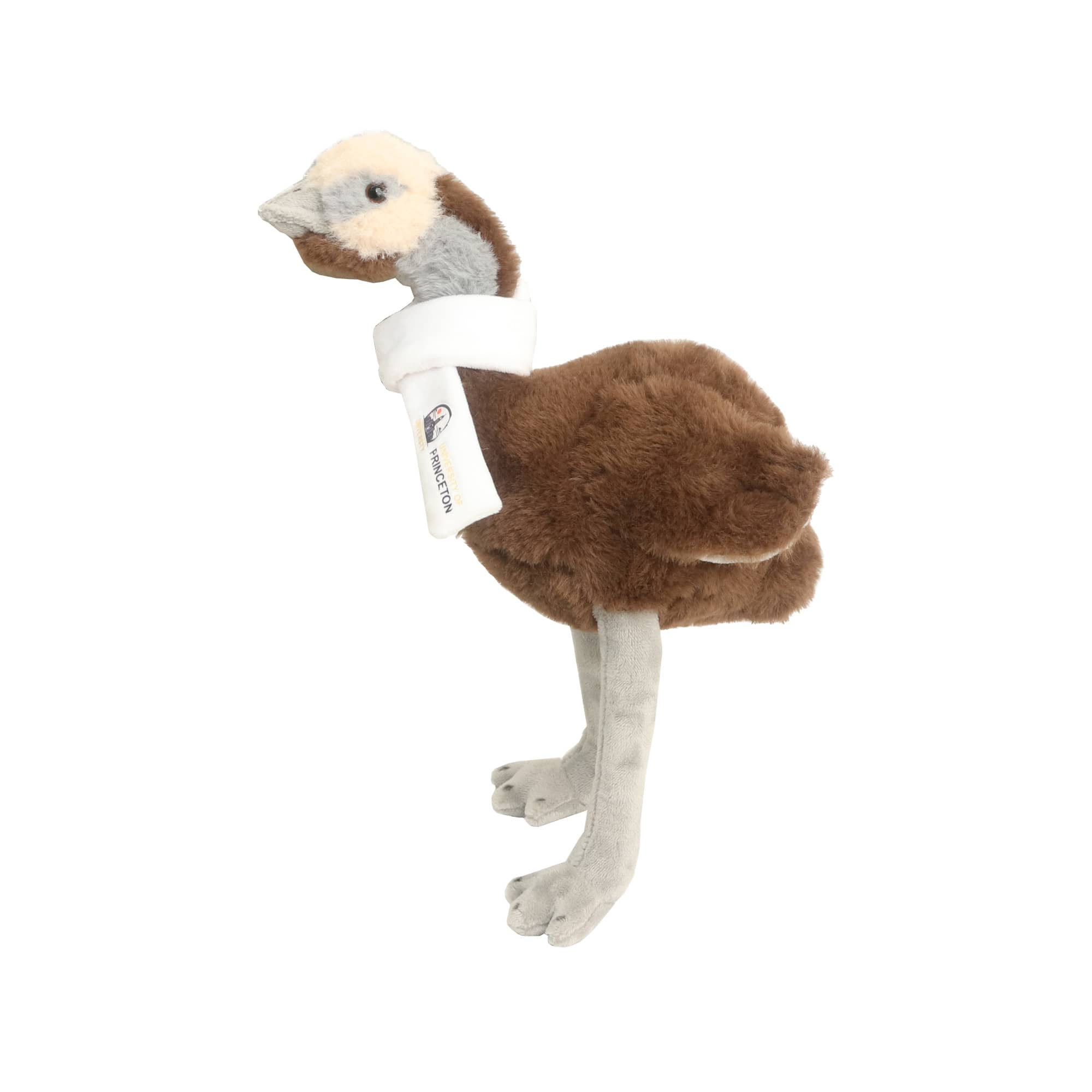 Custom Emu Plush Toy