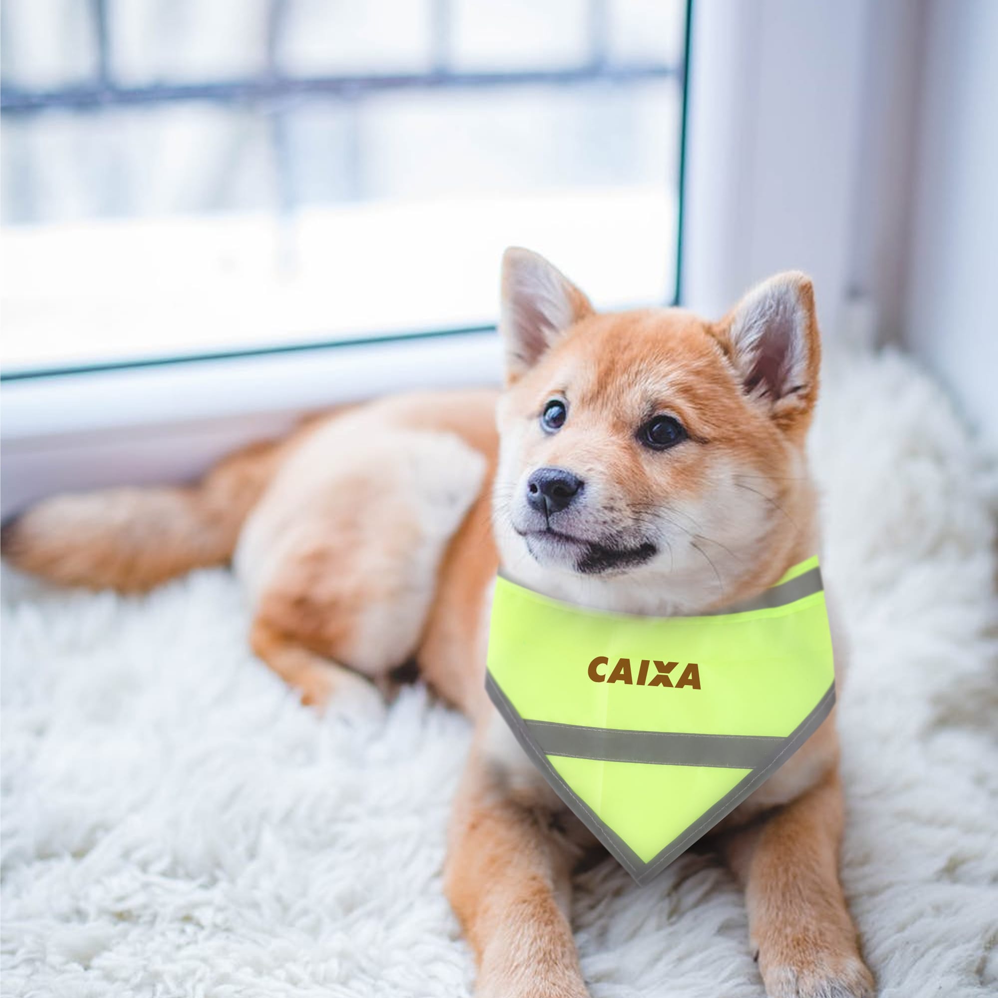 Reflective Dog Bandana