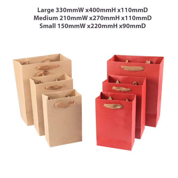 Large Vertical Paper Bag with Fabric Flat Handle(300 x 400 x 110mm)