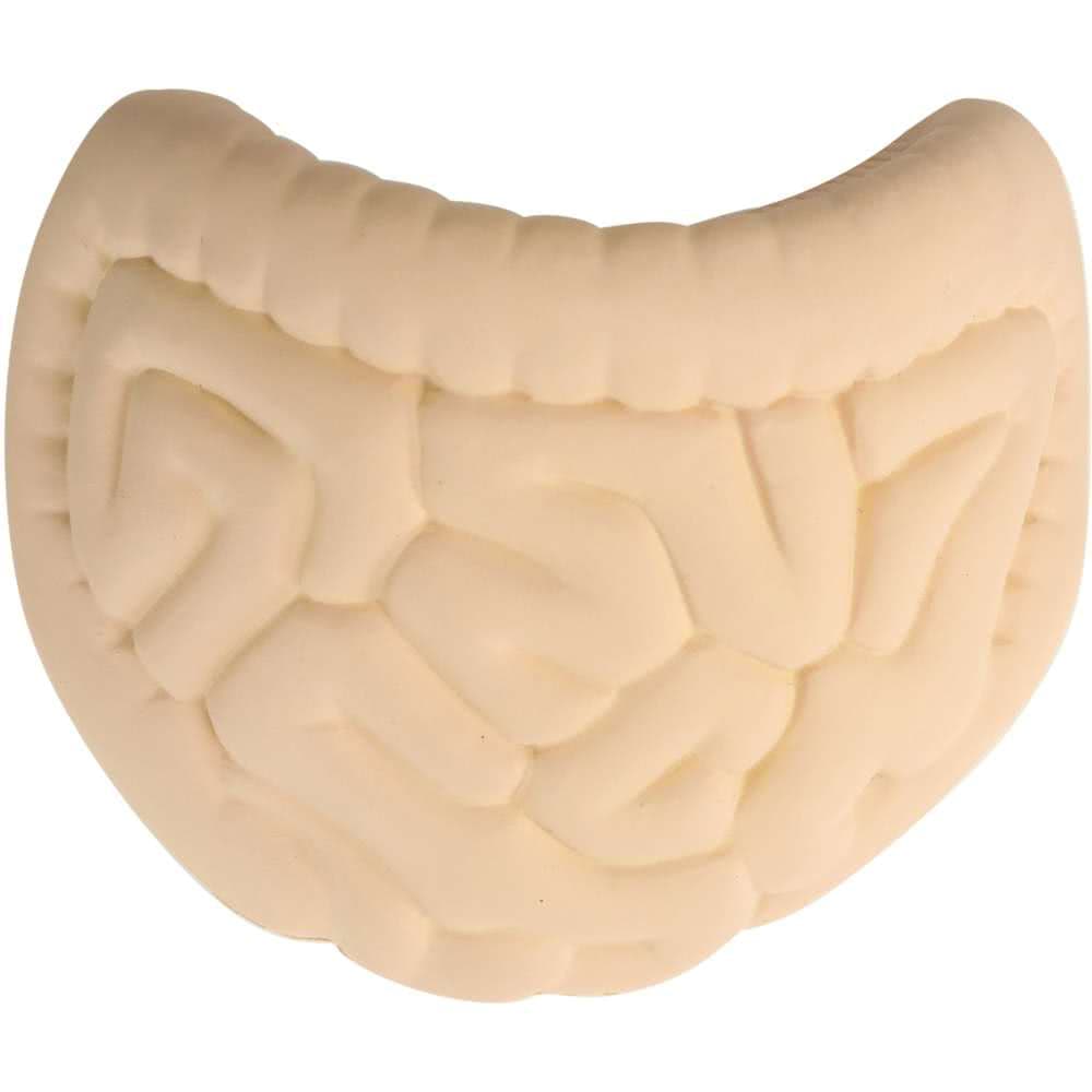Intestines Shape Stress Reliever
