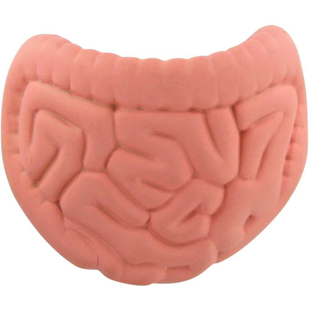 Intestines Shape Stress Reliever