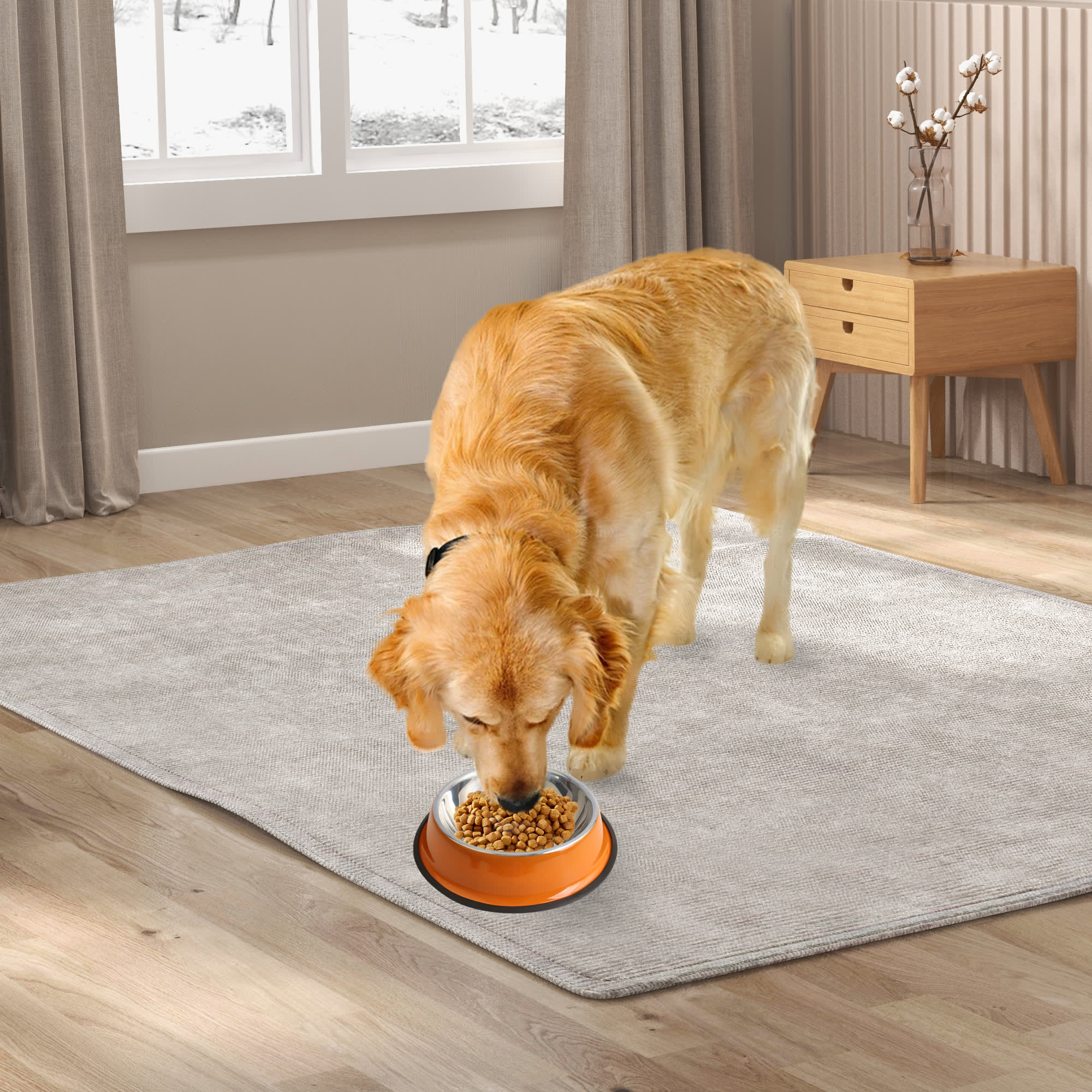 Pet Feeding Bowl