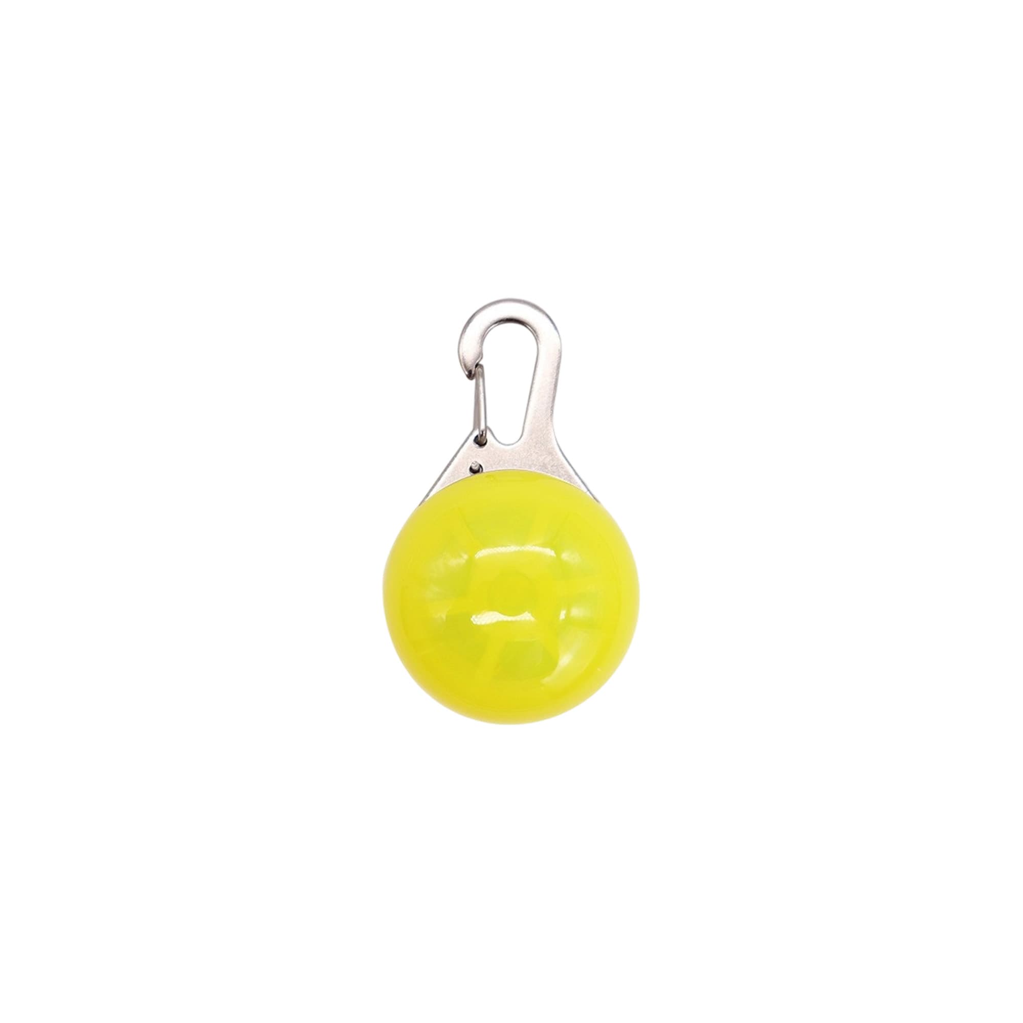 Dog Walking LED Light