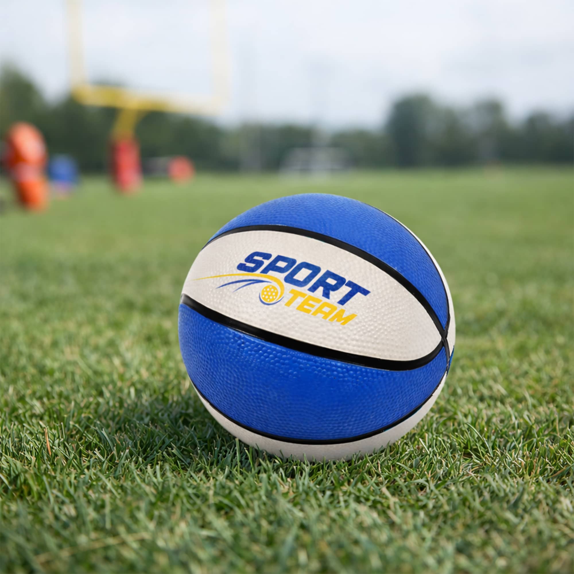 Mini Promotional Basketball