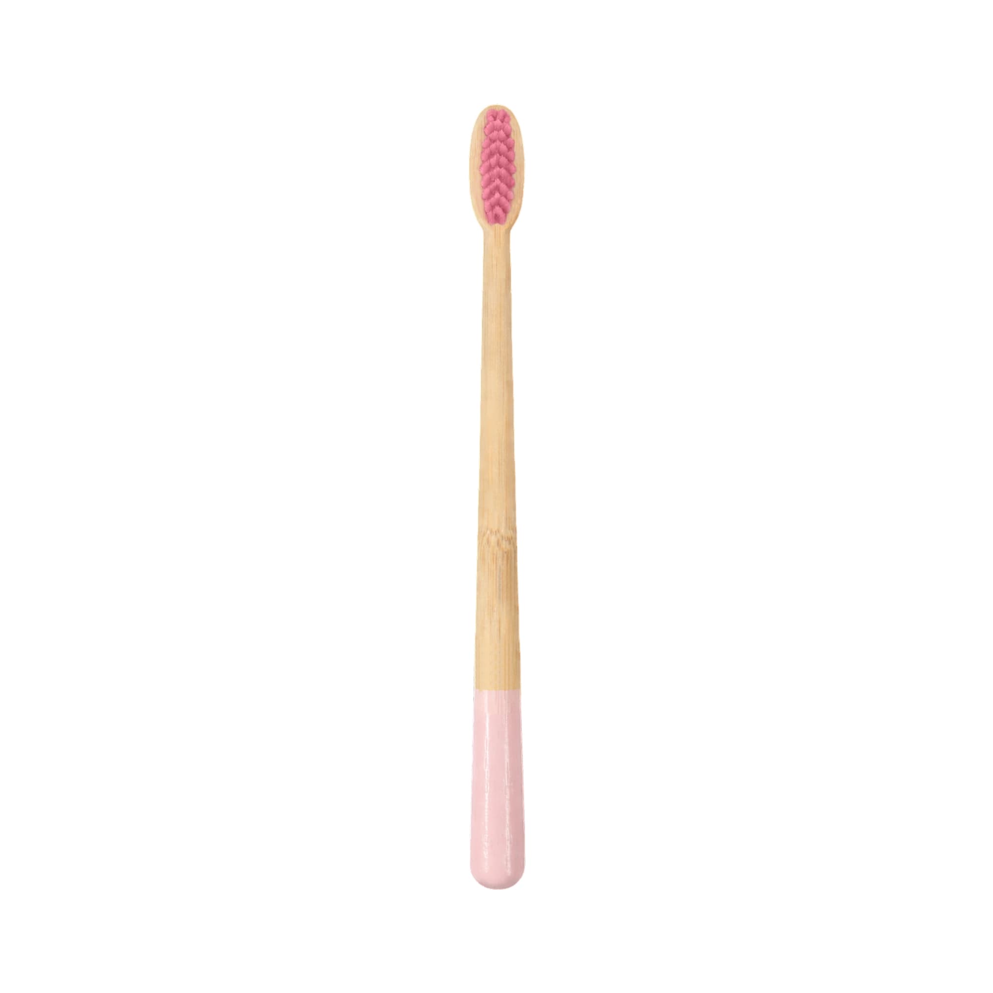 Large Conical Handle Colorful Toothbrush