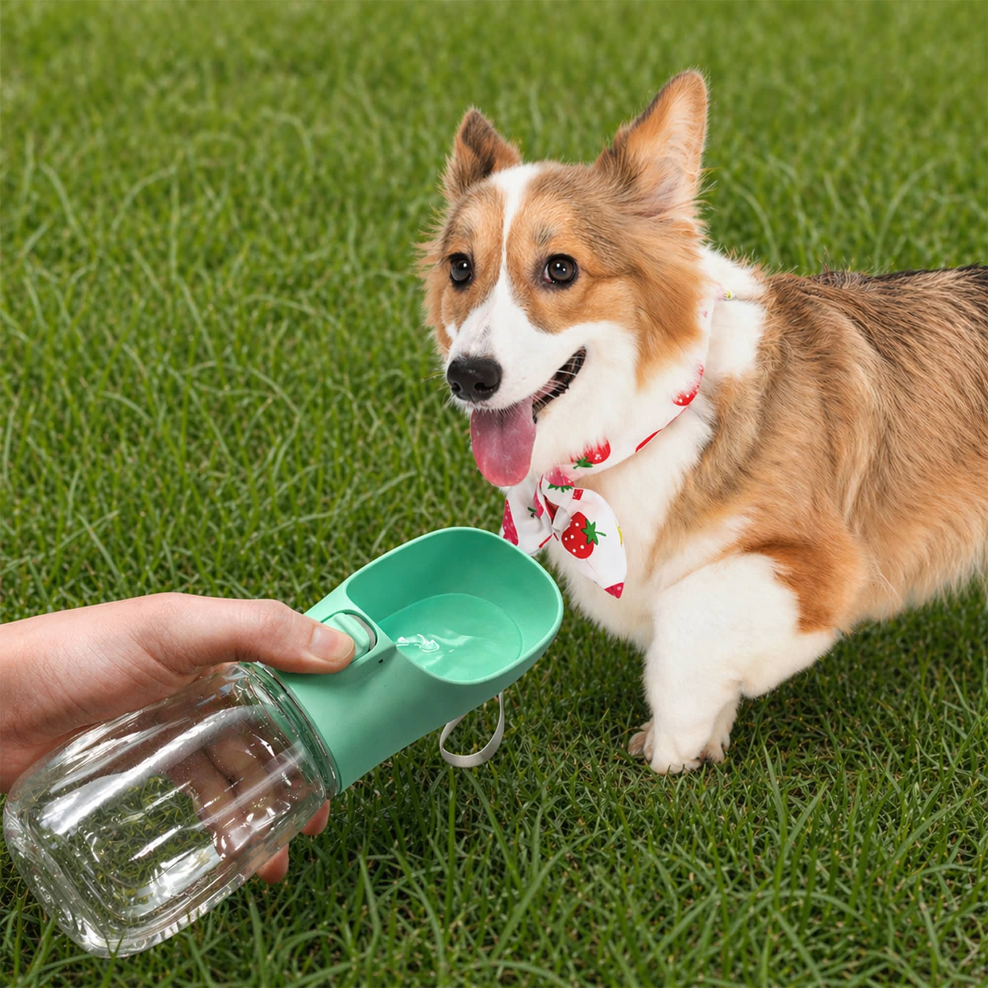 300ml Portable Pet Water Bottle