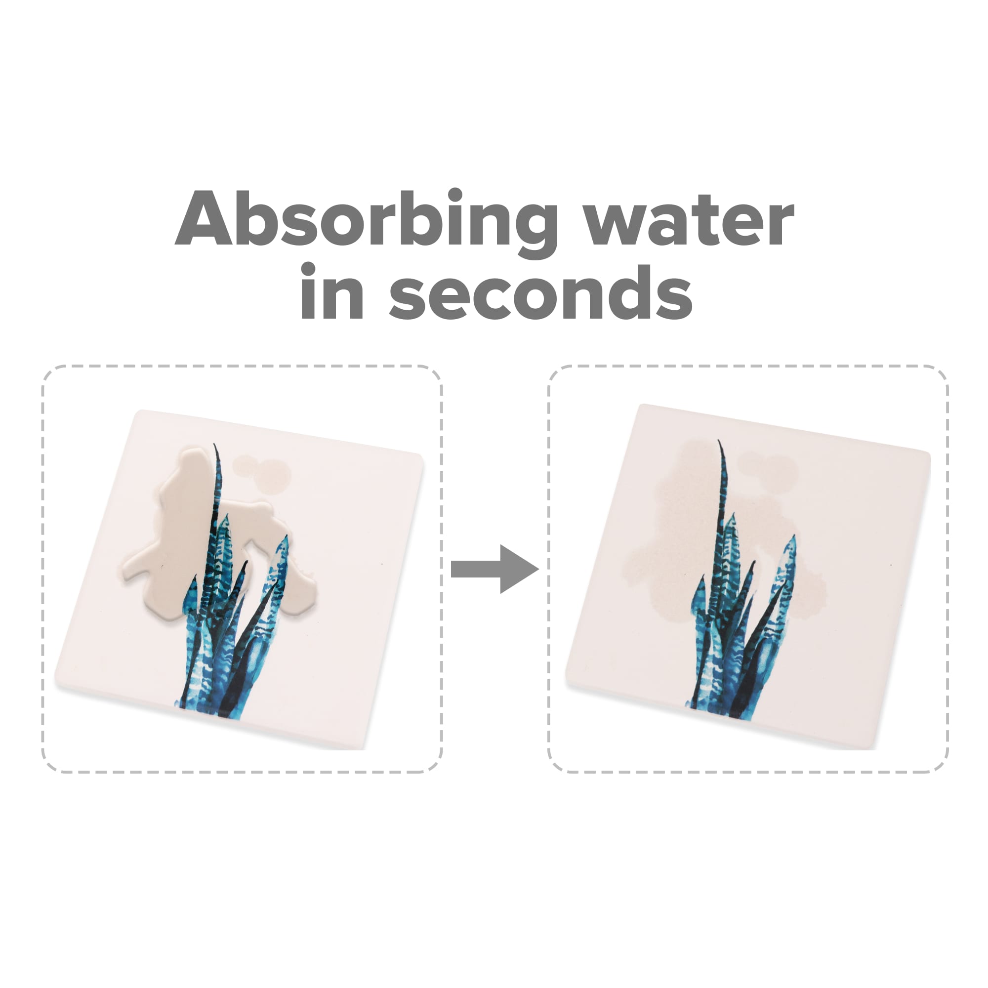 Water Absorbant Coasters