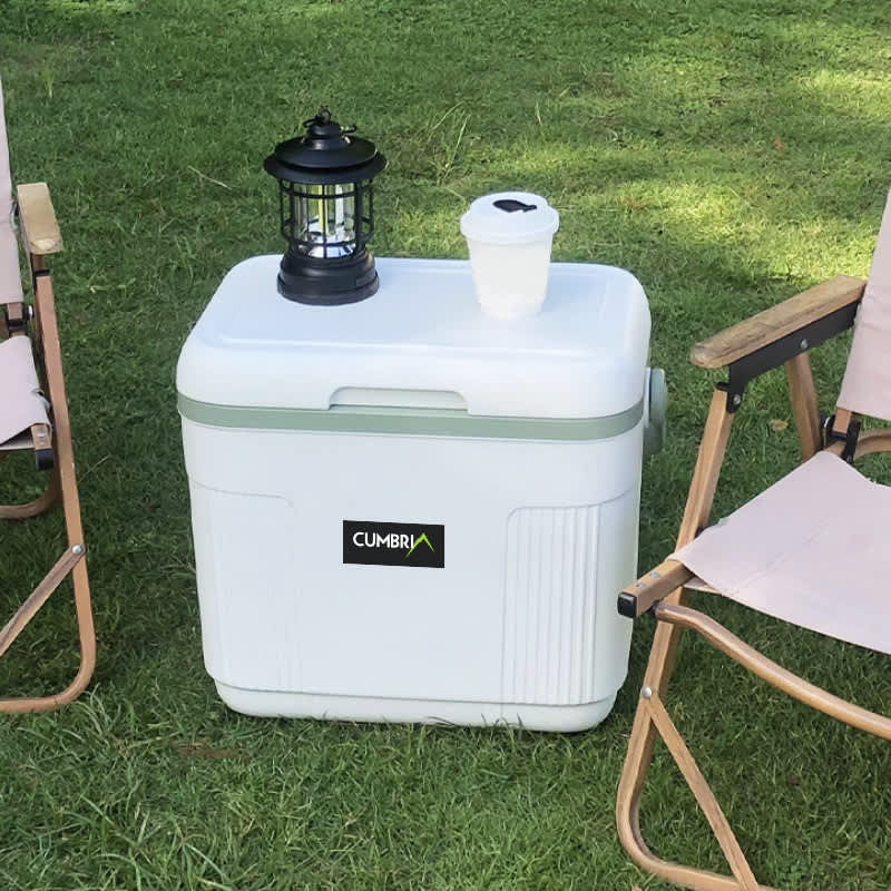 22L Cooler Box