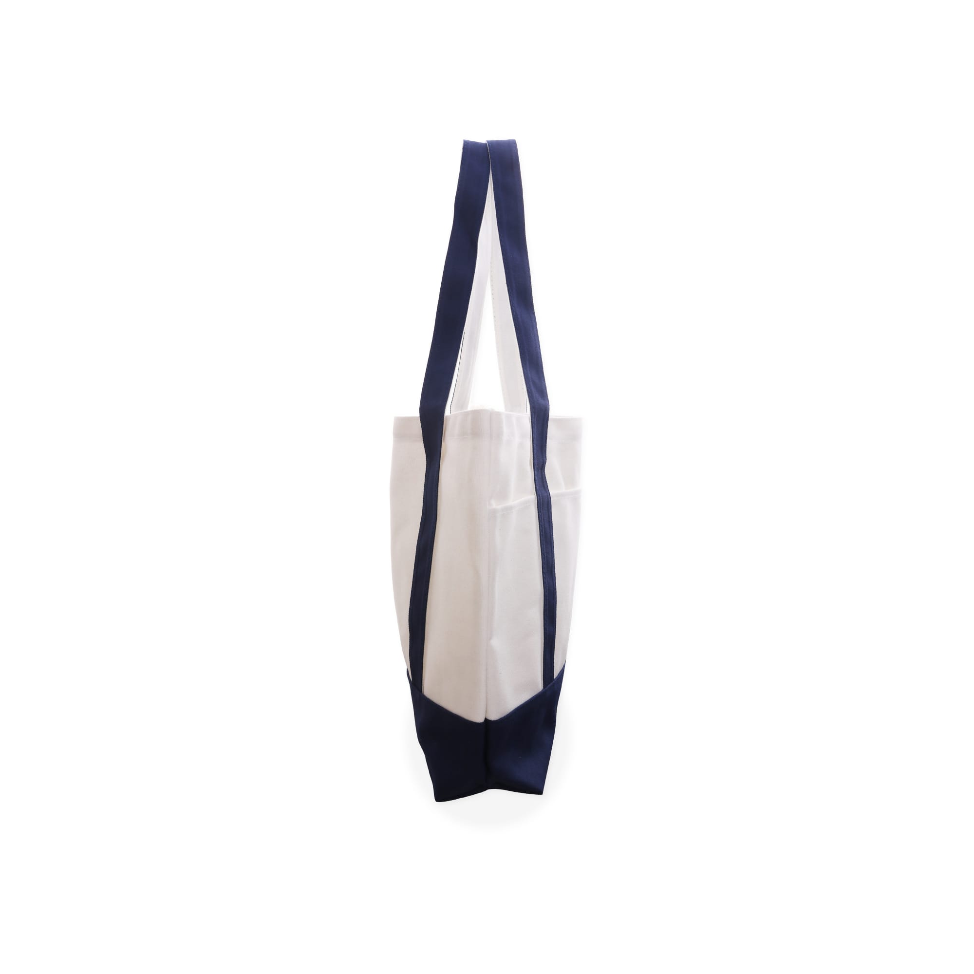 Canvas Tote Bag (Small)