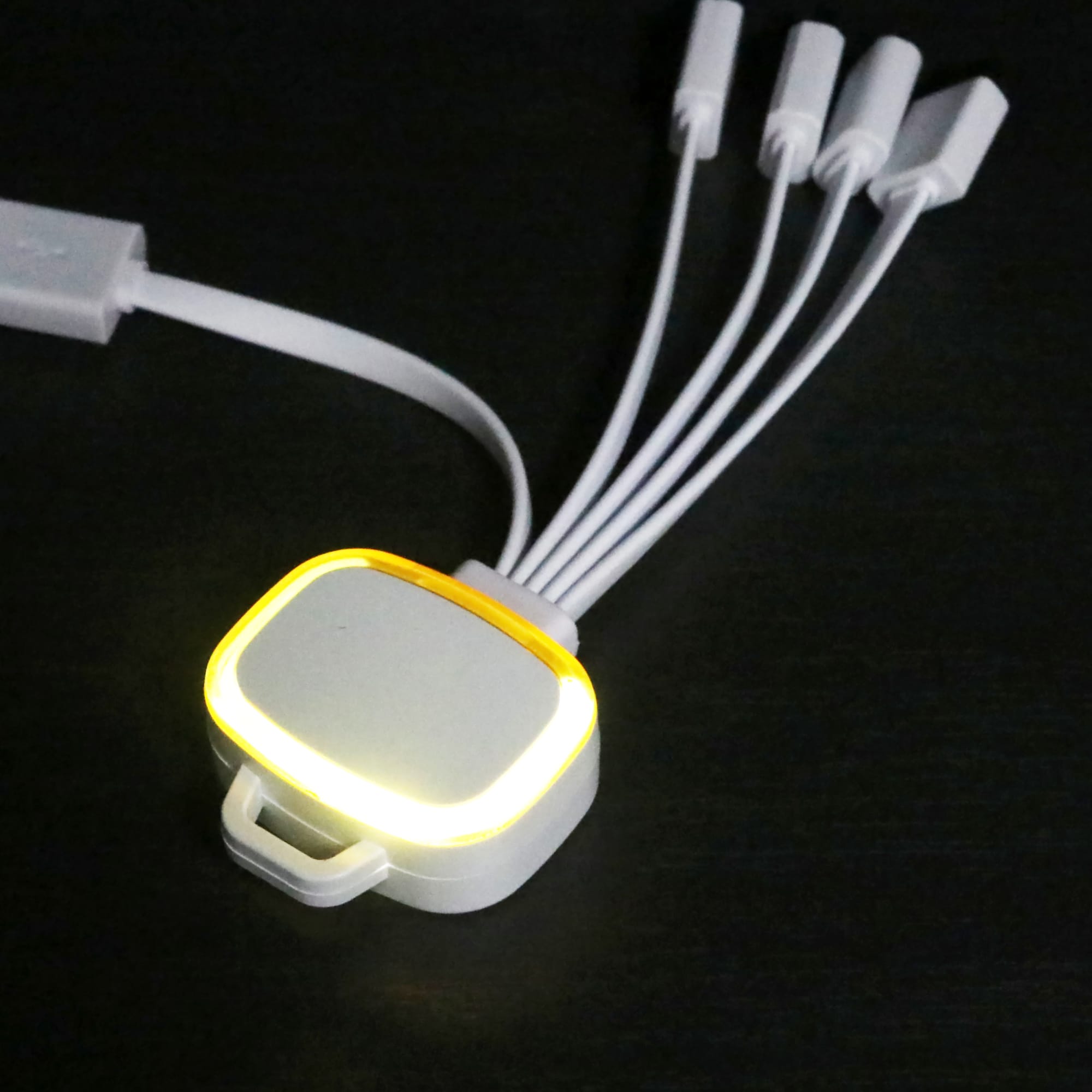 LED Charging Cable with Multiple Connectors
