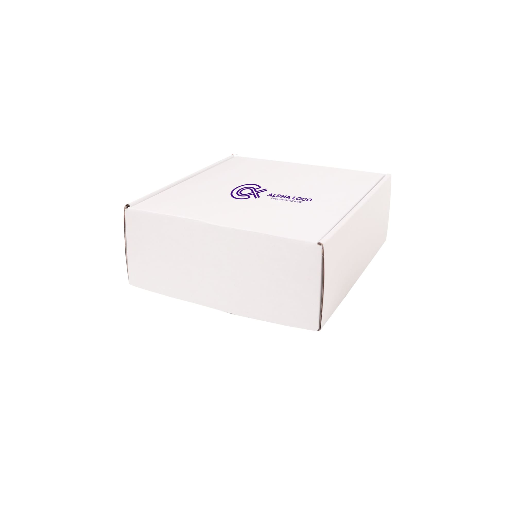 Large Shipper Box