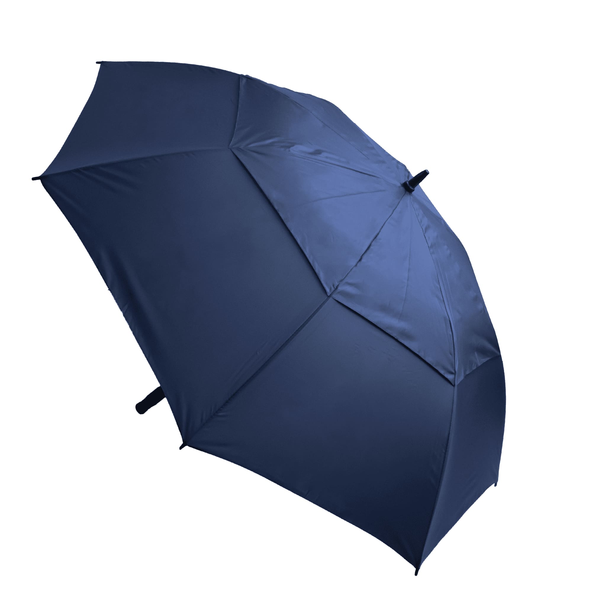 Stormy Umbrella