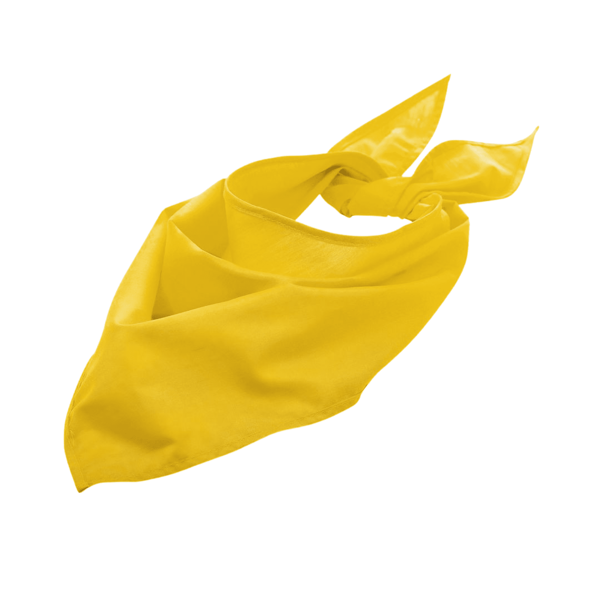 Twistal Triangular Bandana