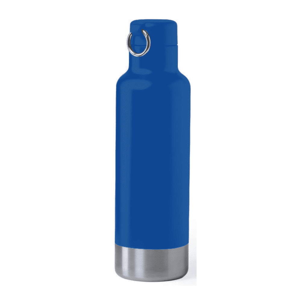 Rolland single wall stainless steel drink bottle