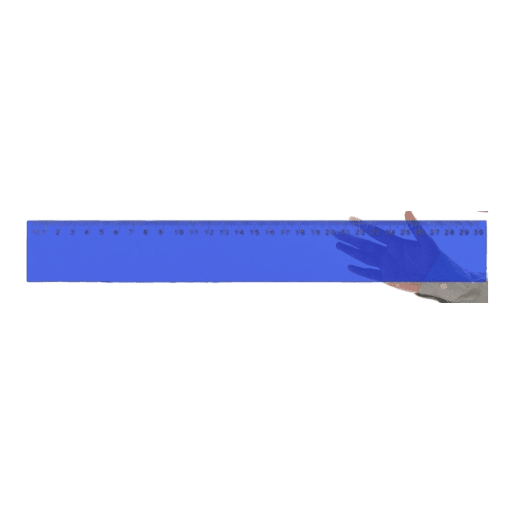 Walsh Plastic ruler