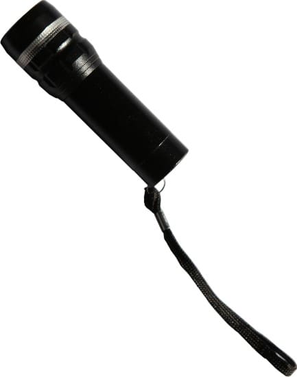Webber torch