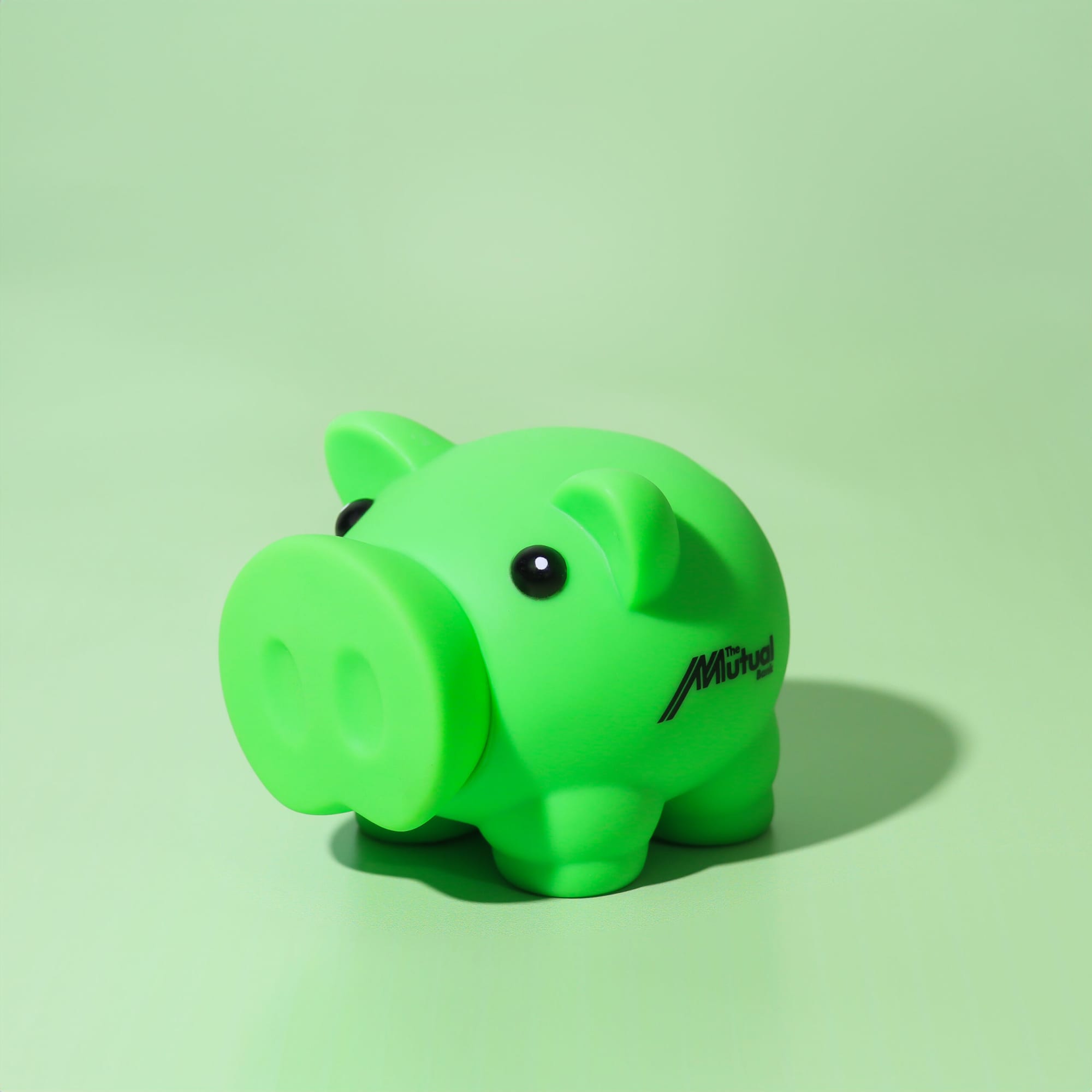 Penny Piglet