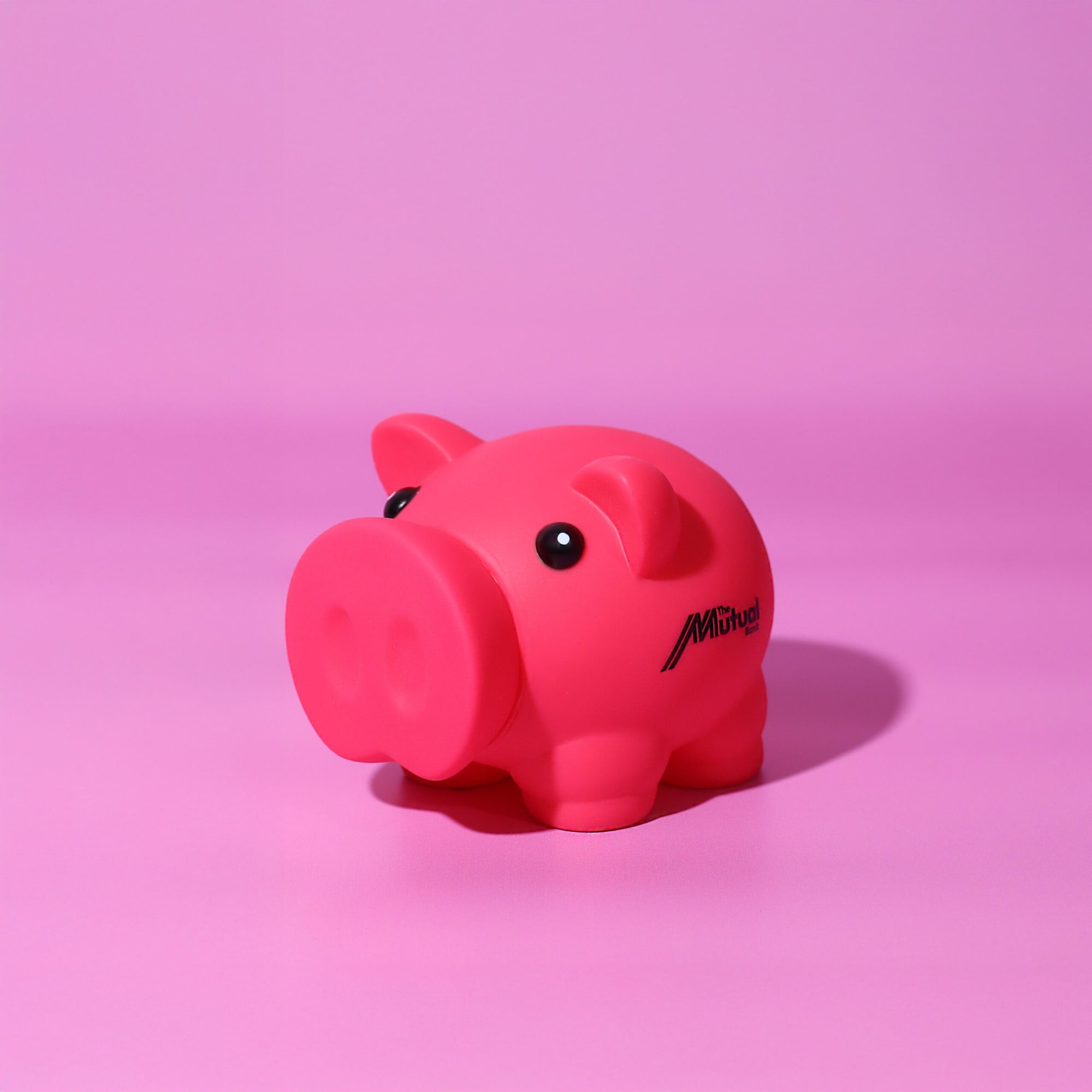 Penny Piglet