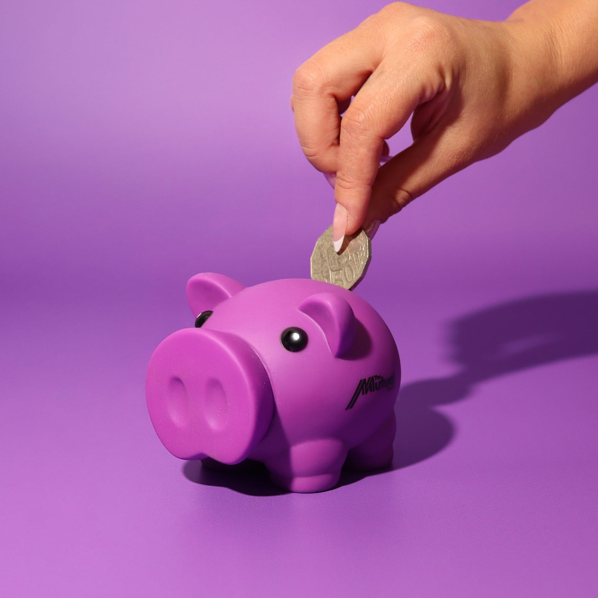 Penny Piglet