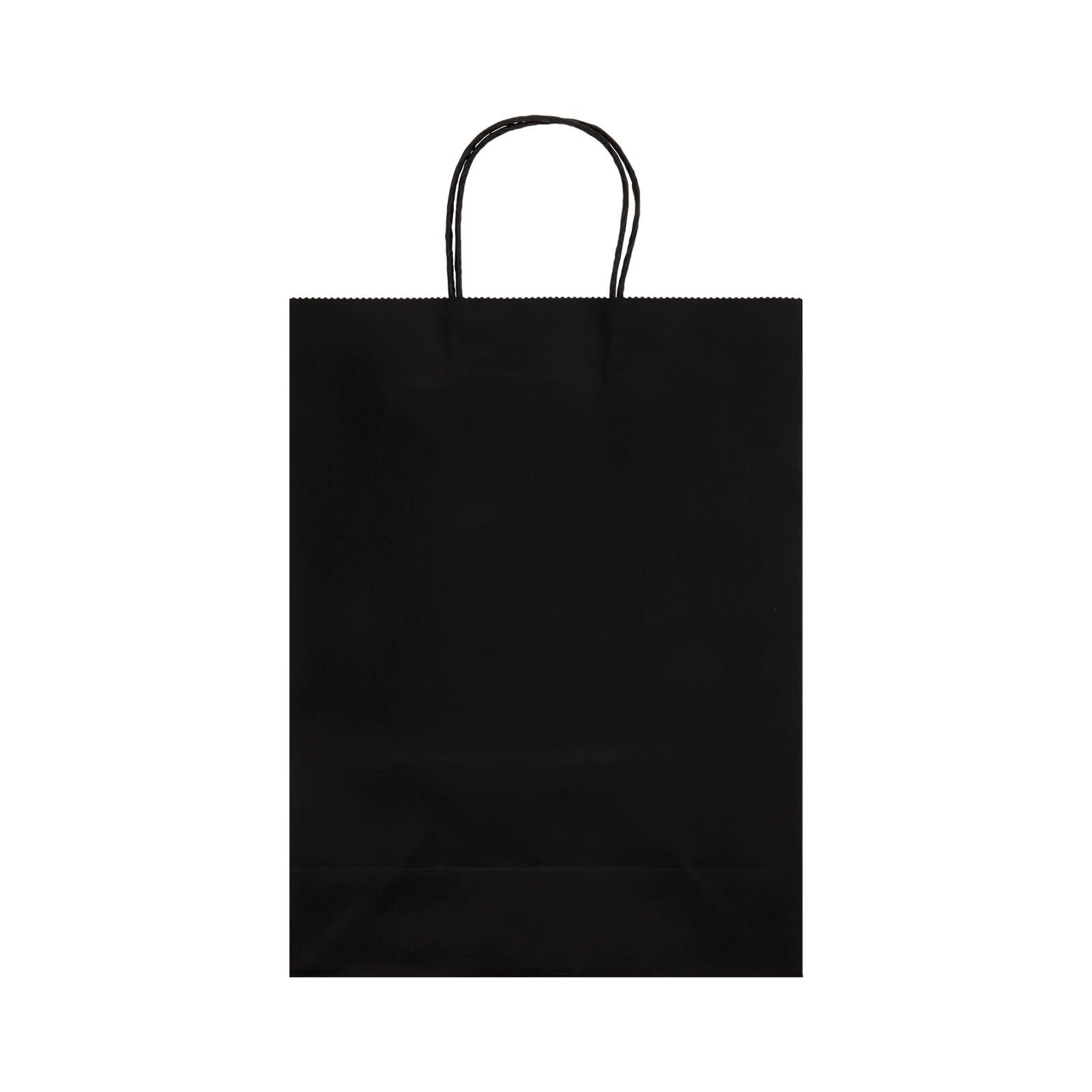 Express Paper Bag Large
