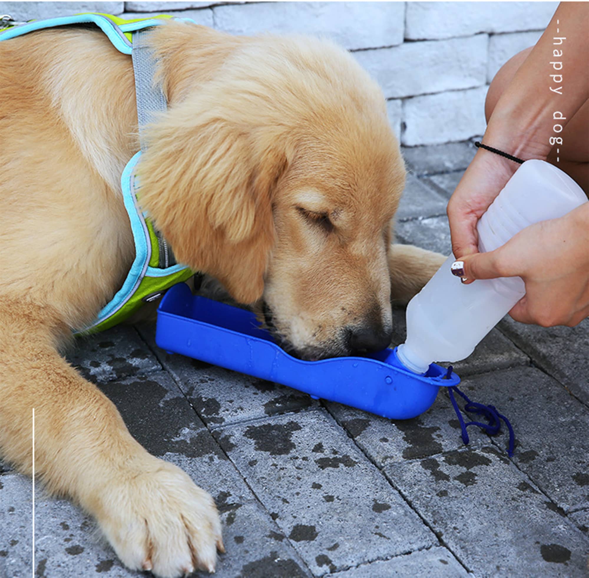 Pet Water Bottle