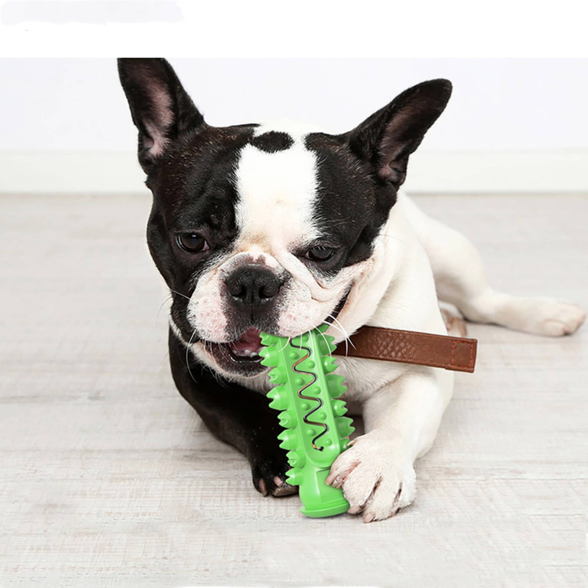 Bone Shape Pet Molar Stick